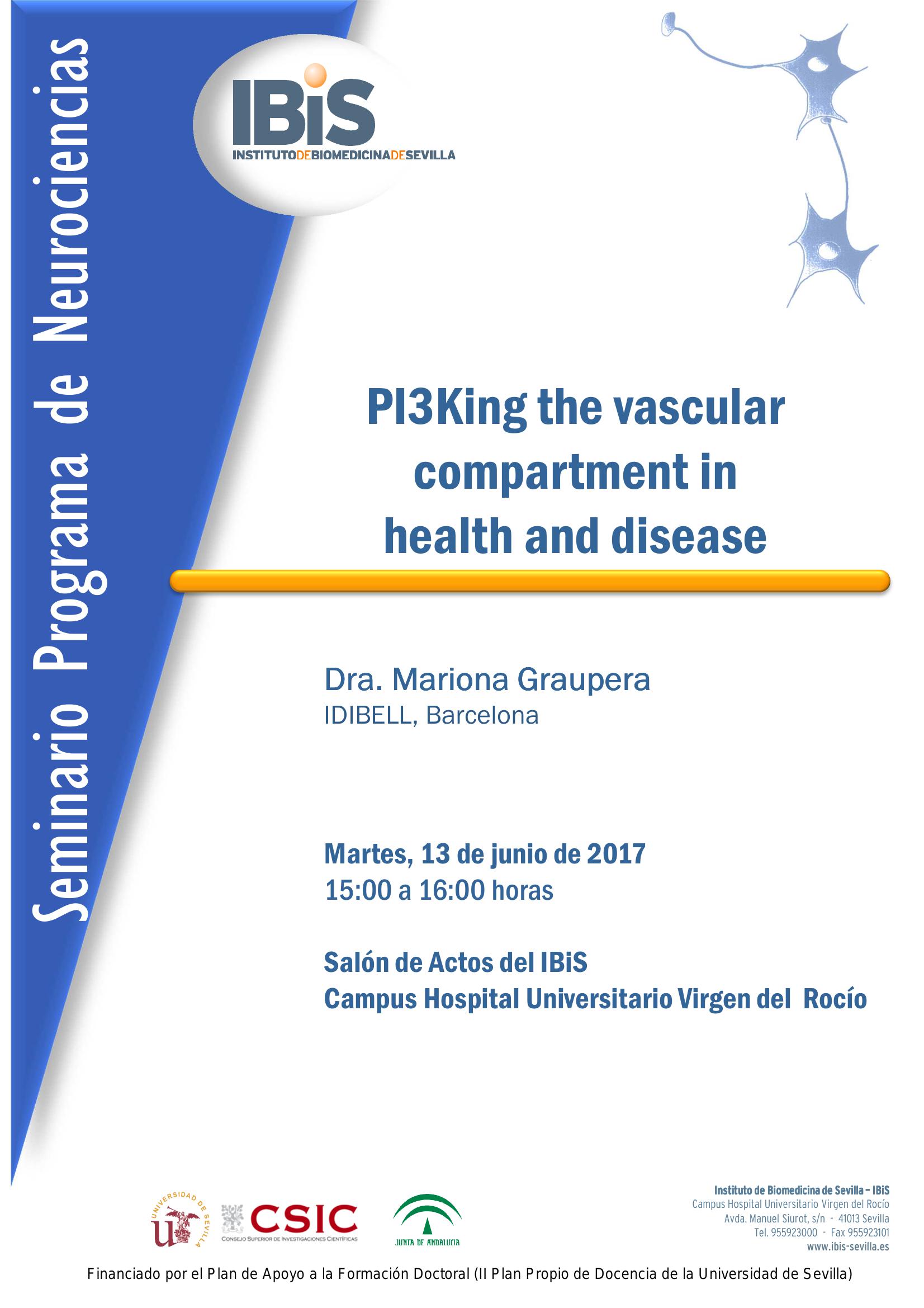 Poster: PI3King the vascular compartment in  health and disease