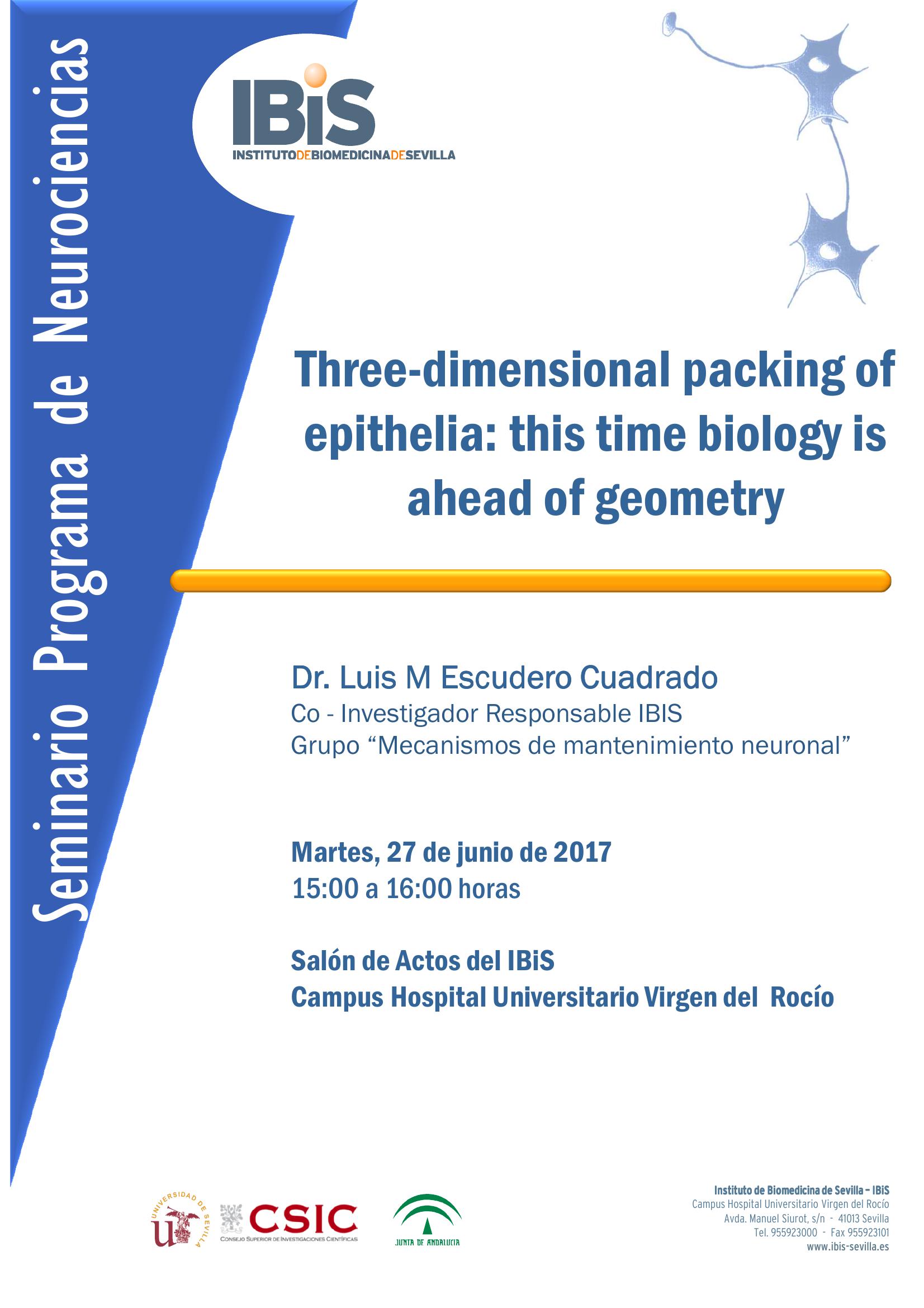 Poster: Three-dimensional packing of epithelia: this time biology is ahead of geometry
