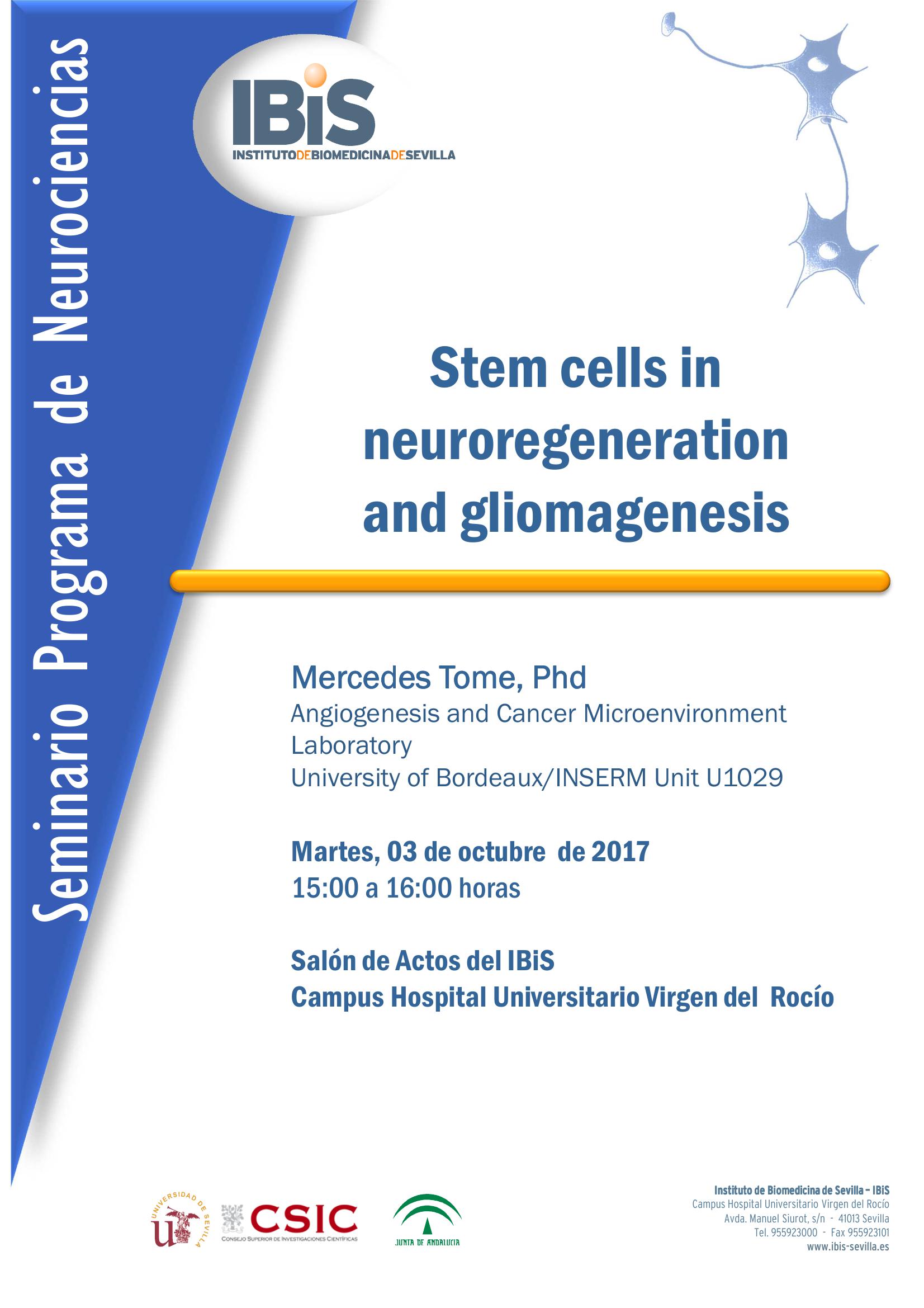 Poster: Stem cells in neuroregeneration  and gliomagenesis