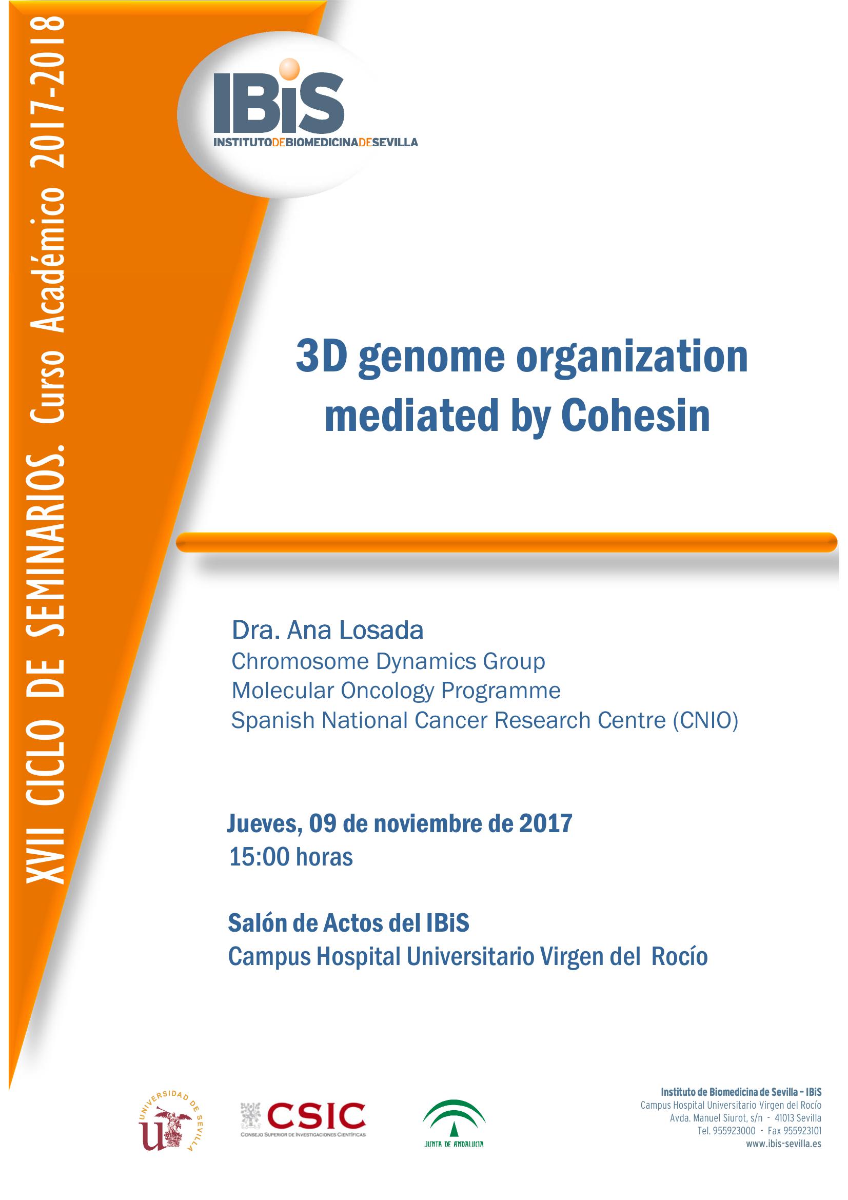 Poster: 3D genome organization mediated by Cohesin