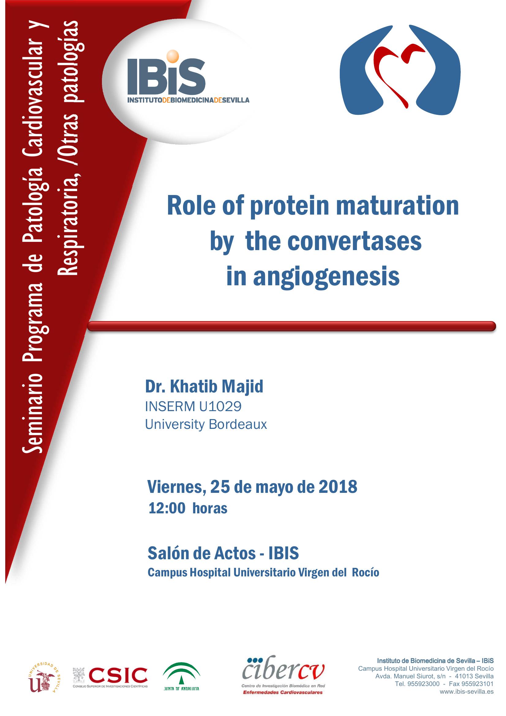 Poster: Role of protein maturation  by  the convertases  in angiogenesis
