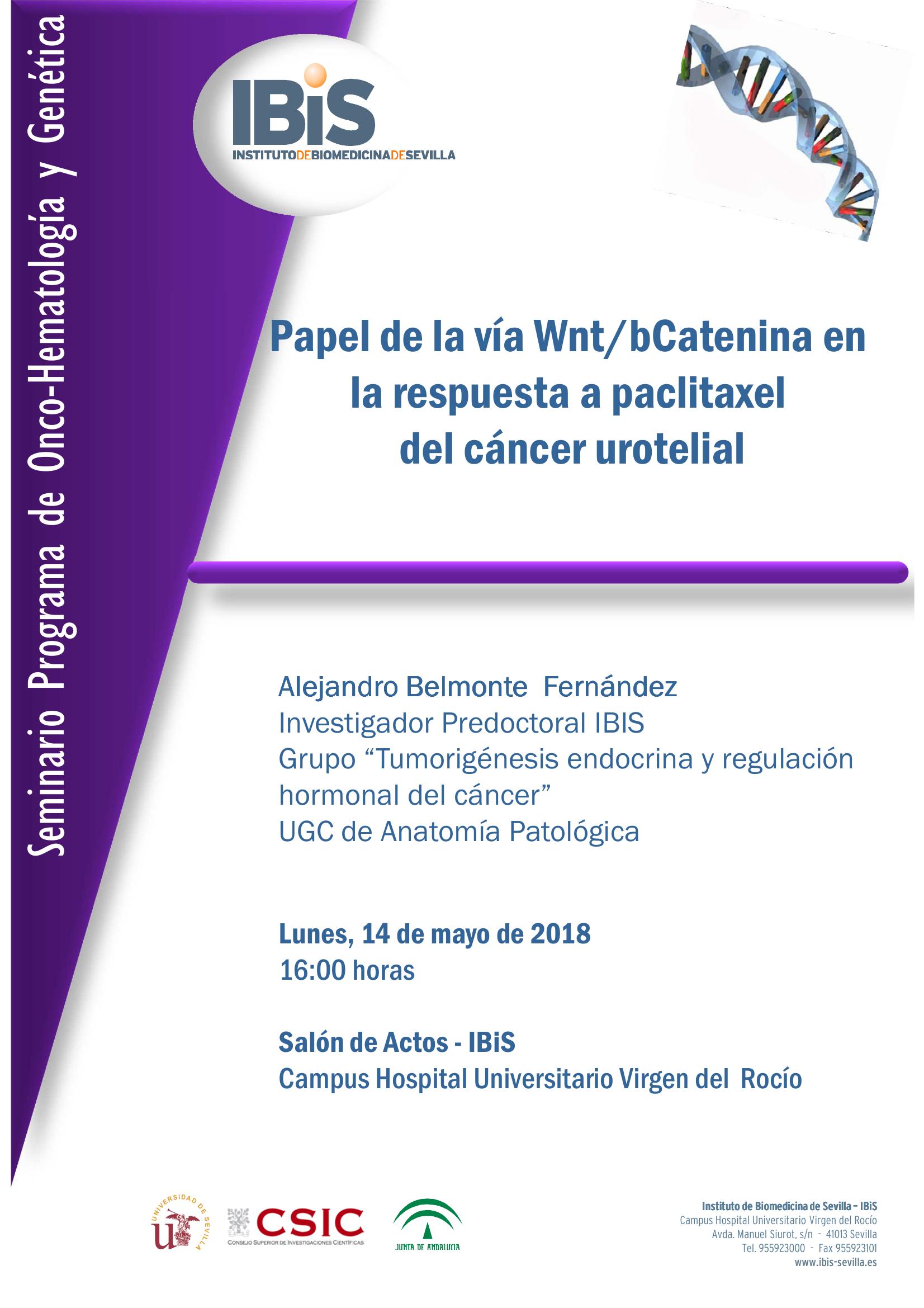 Poster: Papel de la vía Wnt/bCatenina en la respuesta a paclitaxel  del cáncer urotelial
