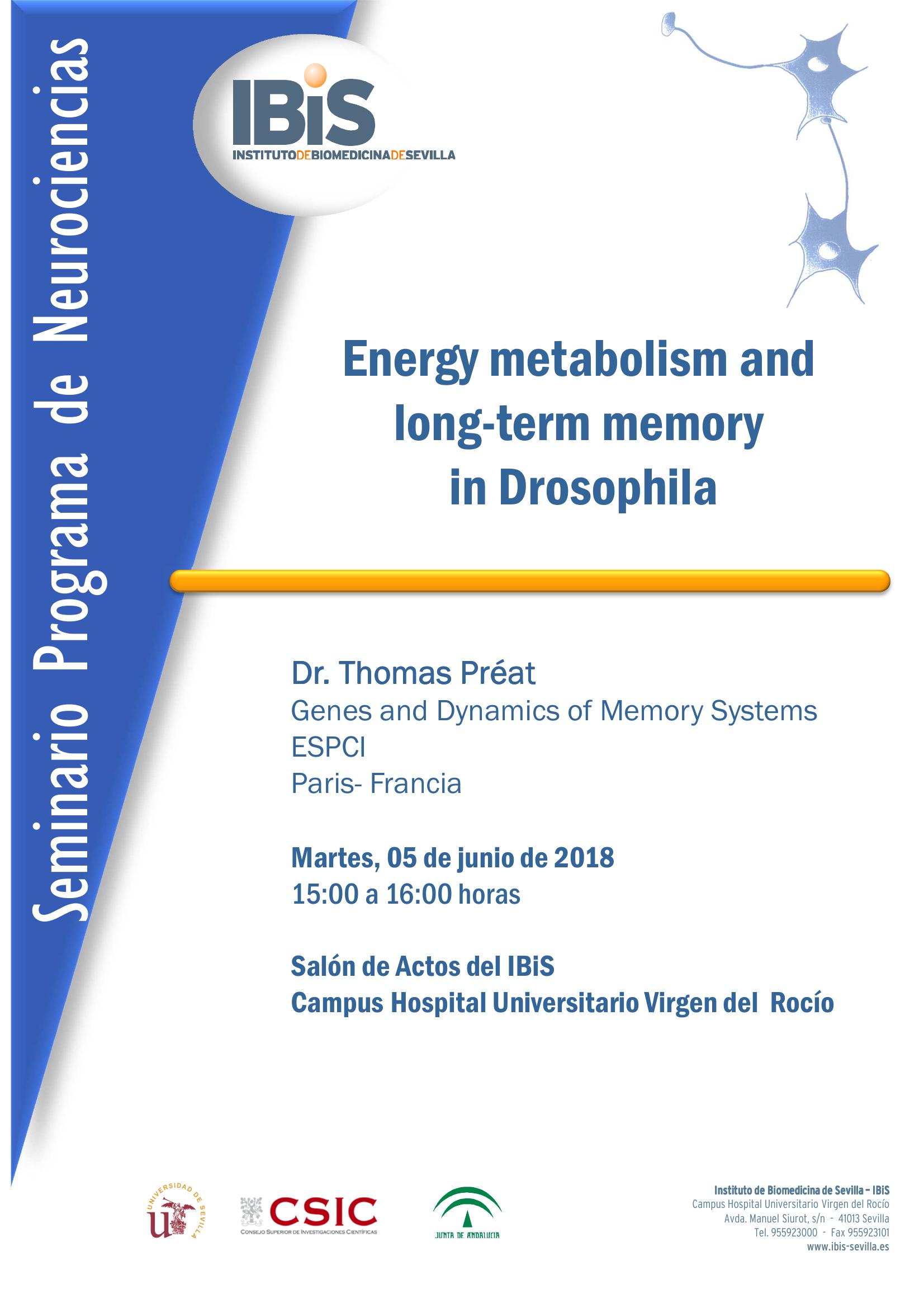 Poster: Energy metabolism and  long-term memory  in Drosophila