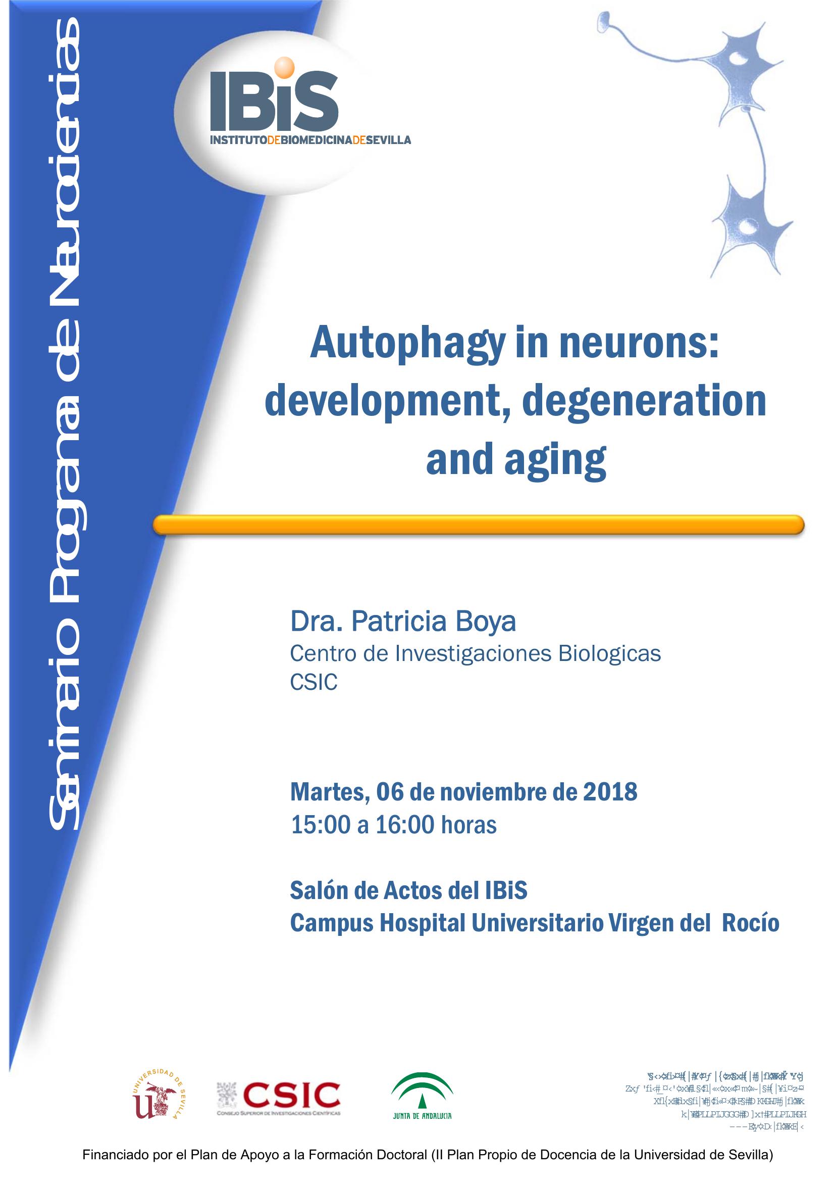 Poster: Autophagy in neurons: development, degeneration and aging