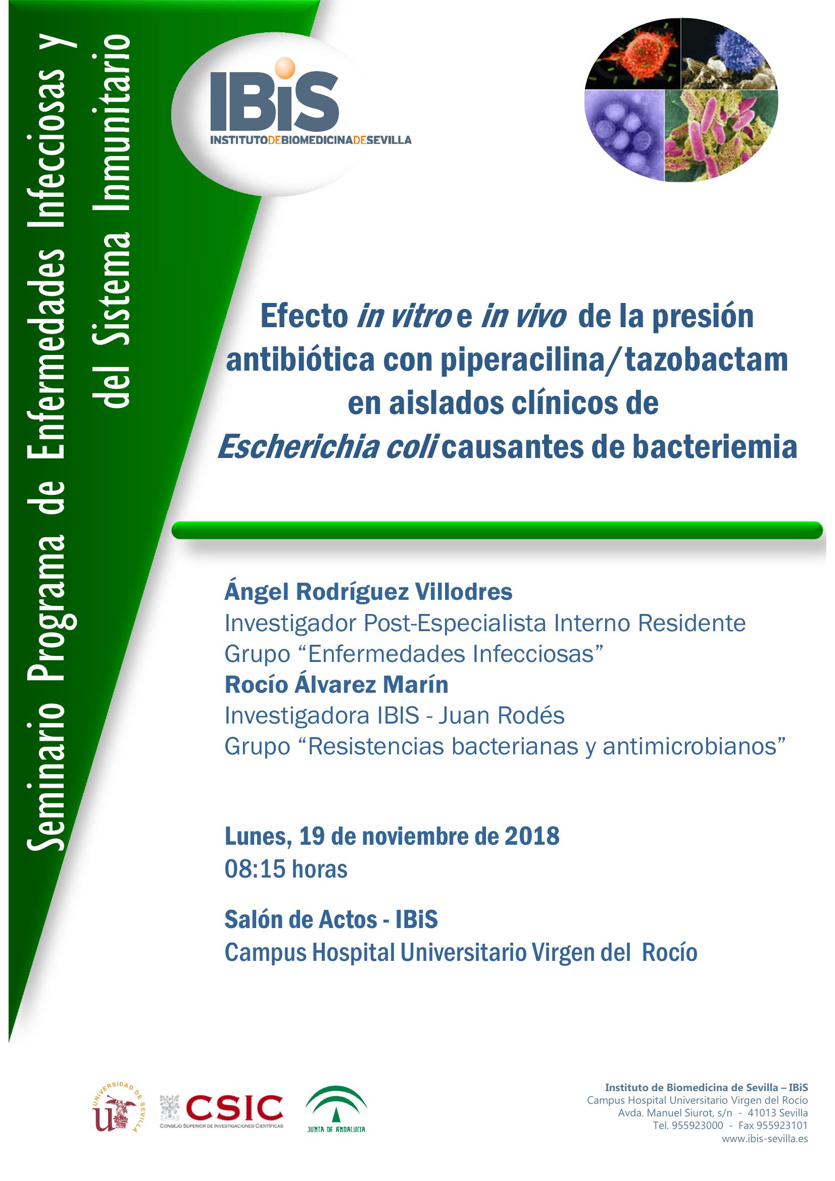 Poster: Efecto in vitro e in vivo  de la presión antibiótica con piperacilina/tazobactam en aislados clínicos de  Escherichia coli causantes de bacteriemia