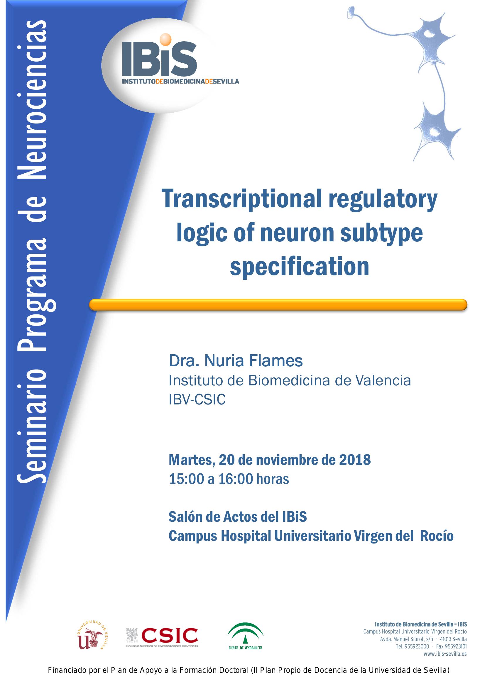 Poster: Transcriptional regulatory logic of neuron subtype specification