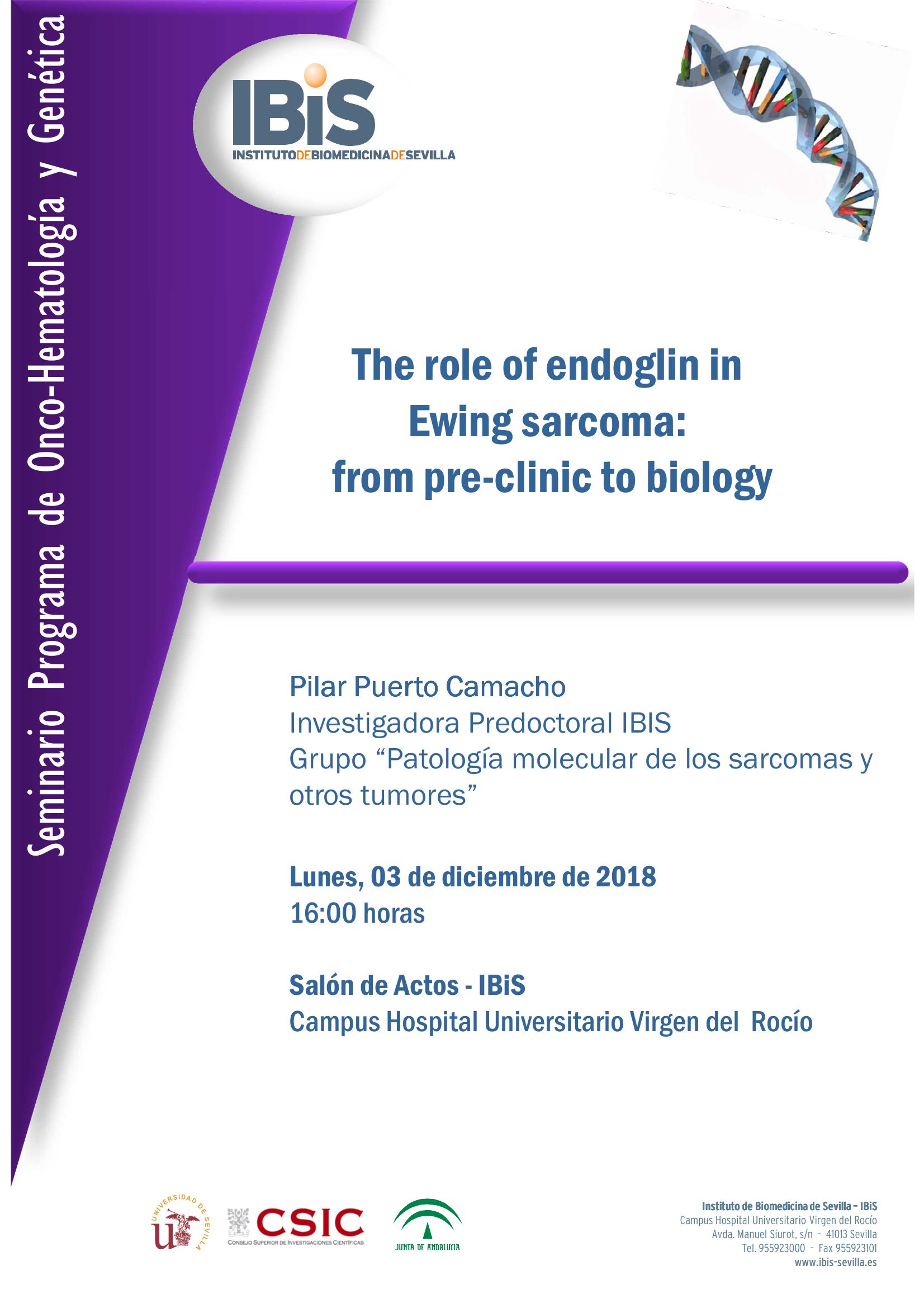 Poster: The role of endoglin in  Ewing sarcoma:  from pre-clinic to biology