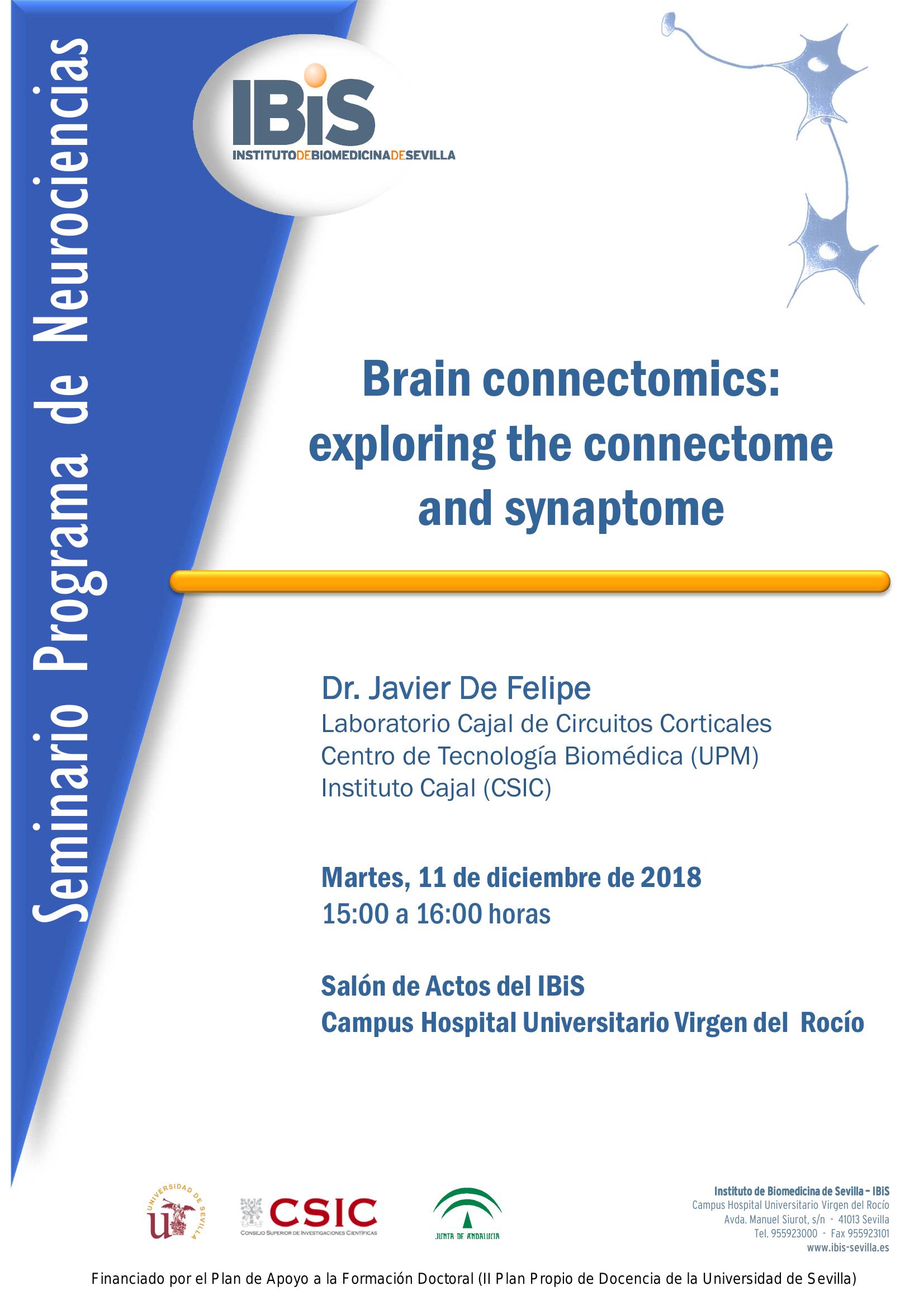 Poster: Brain connectomics: exploring the connectome and synaptome