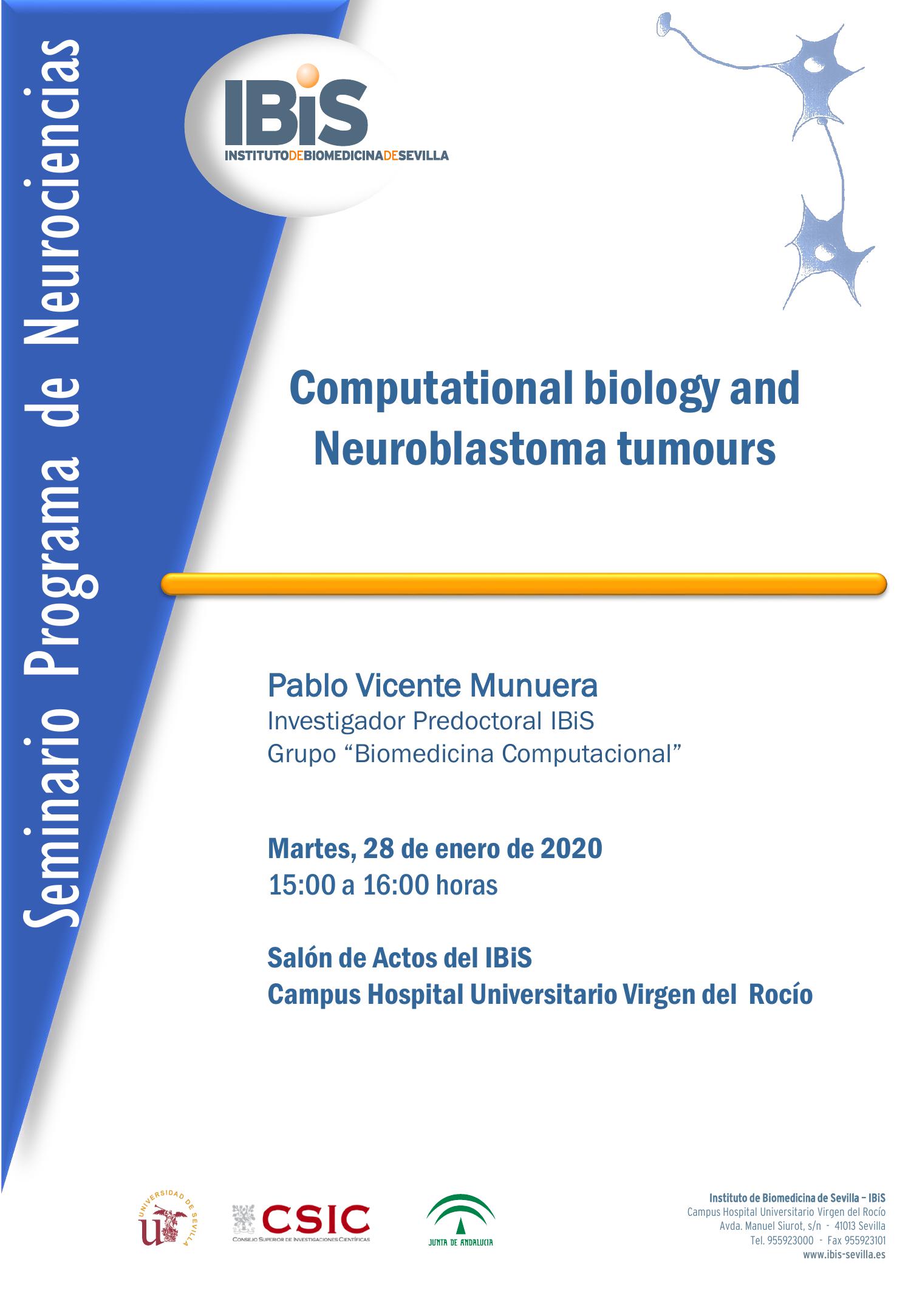 Poster: Computational biology and Neuroblastoma tumours