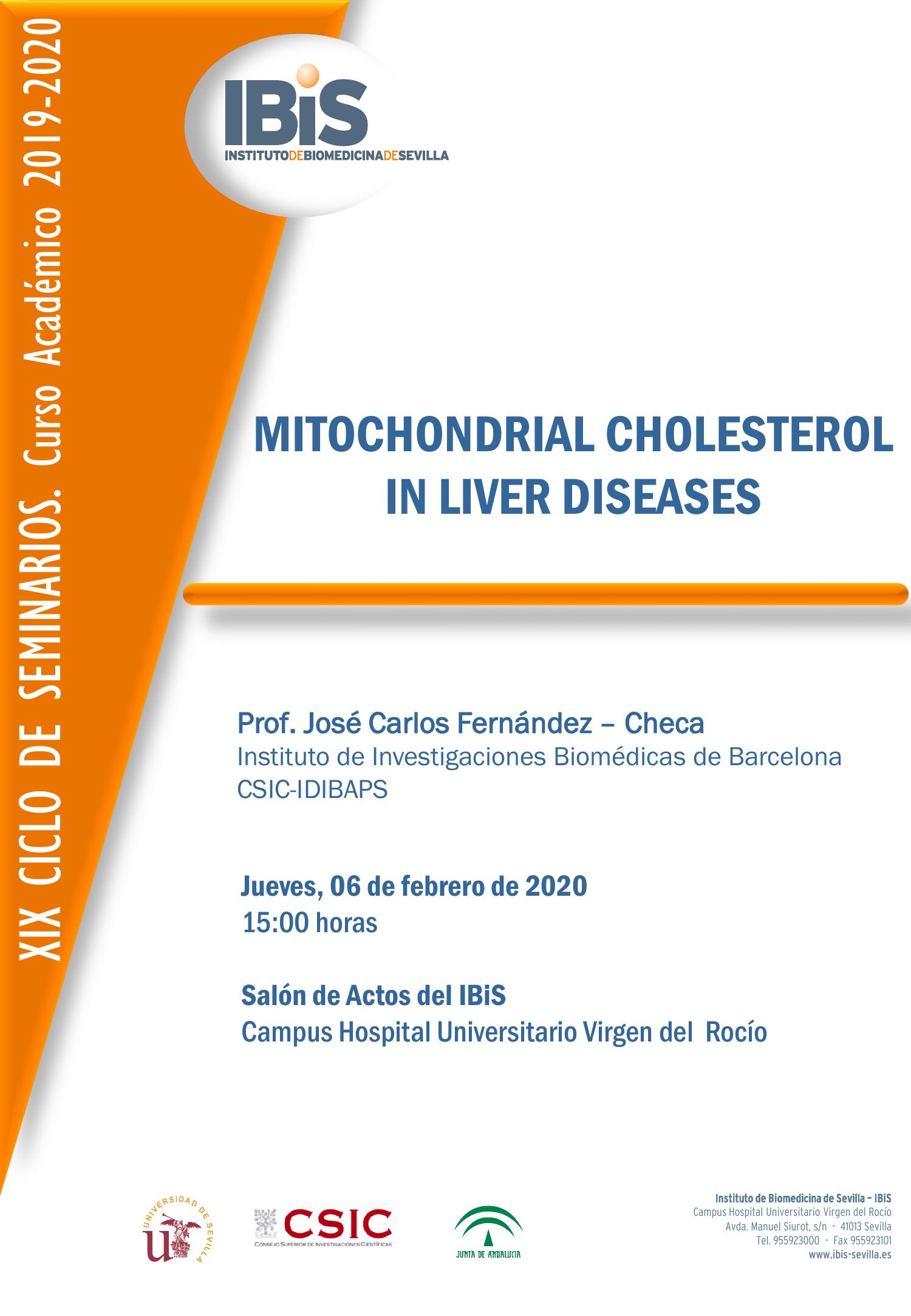 Poster: MITOCHONDRIAL CHOLESTEROL IN LIVER DISEASES