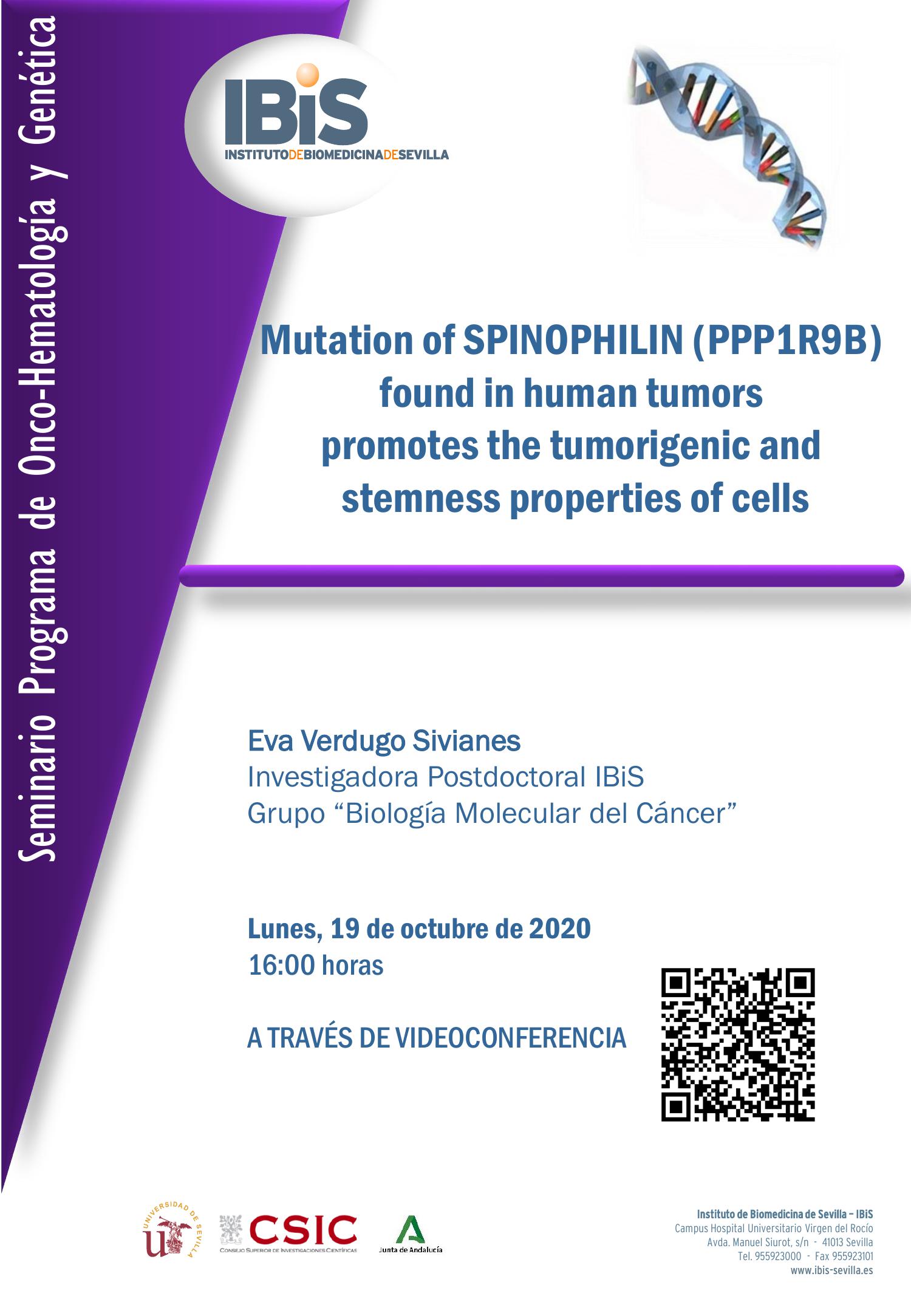 Poster: Mutation of SPINOPHILIN (PPP1R9B) found in human tumors  promotes the tumorigenic and  stemness properties of cells