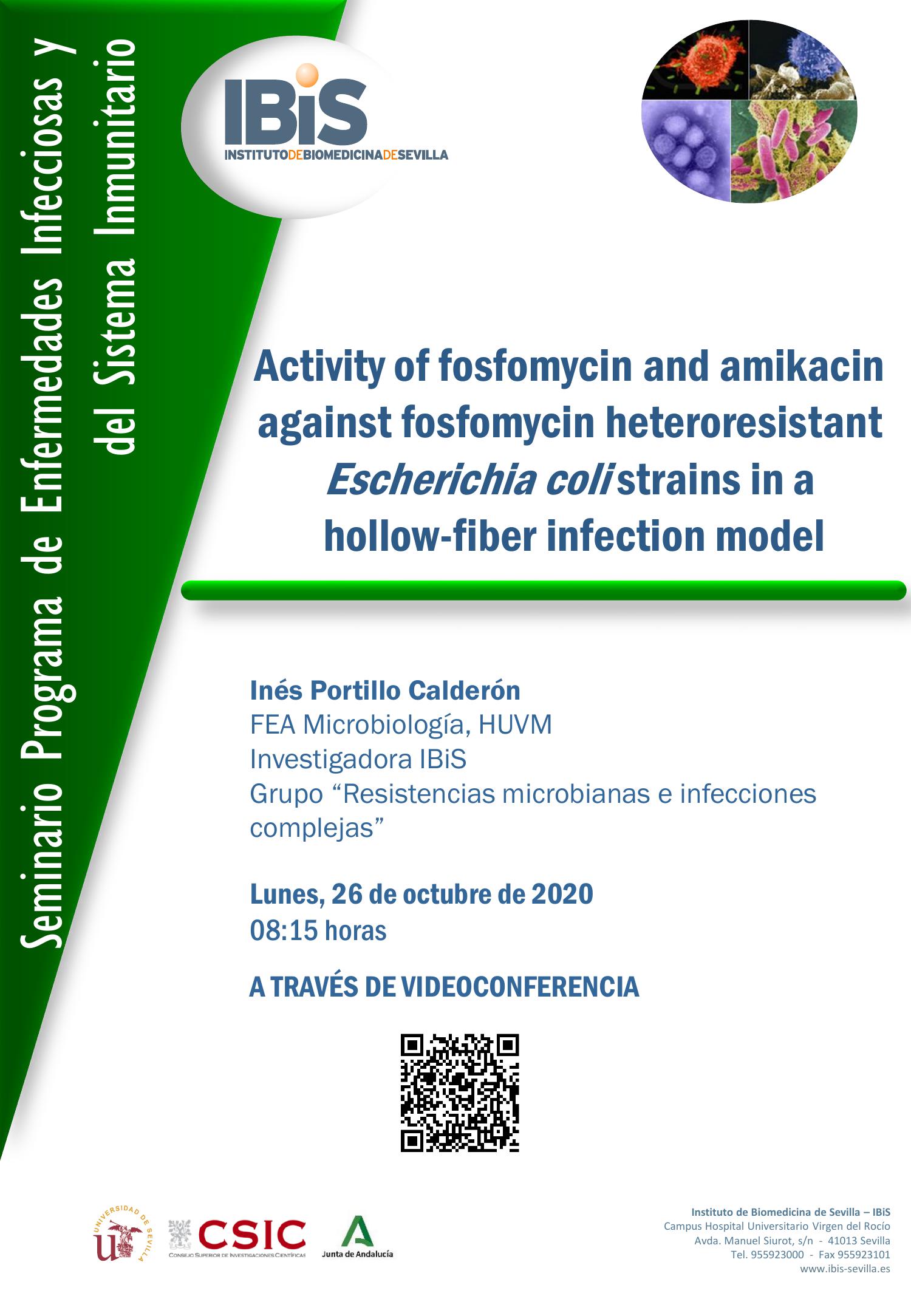 Poster: Activity of fosfomycin and amikacin against fosfomycin heteroresistant Escherichia coli strains in a  hollow-fiber infection model