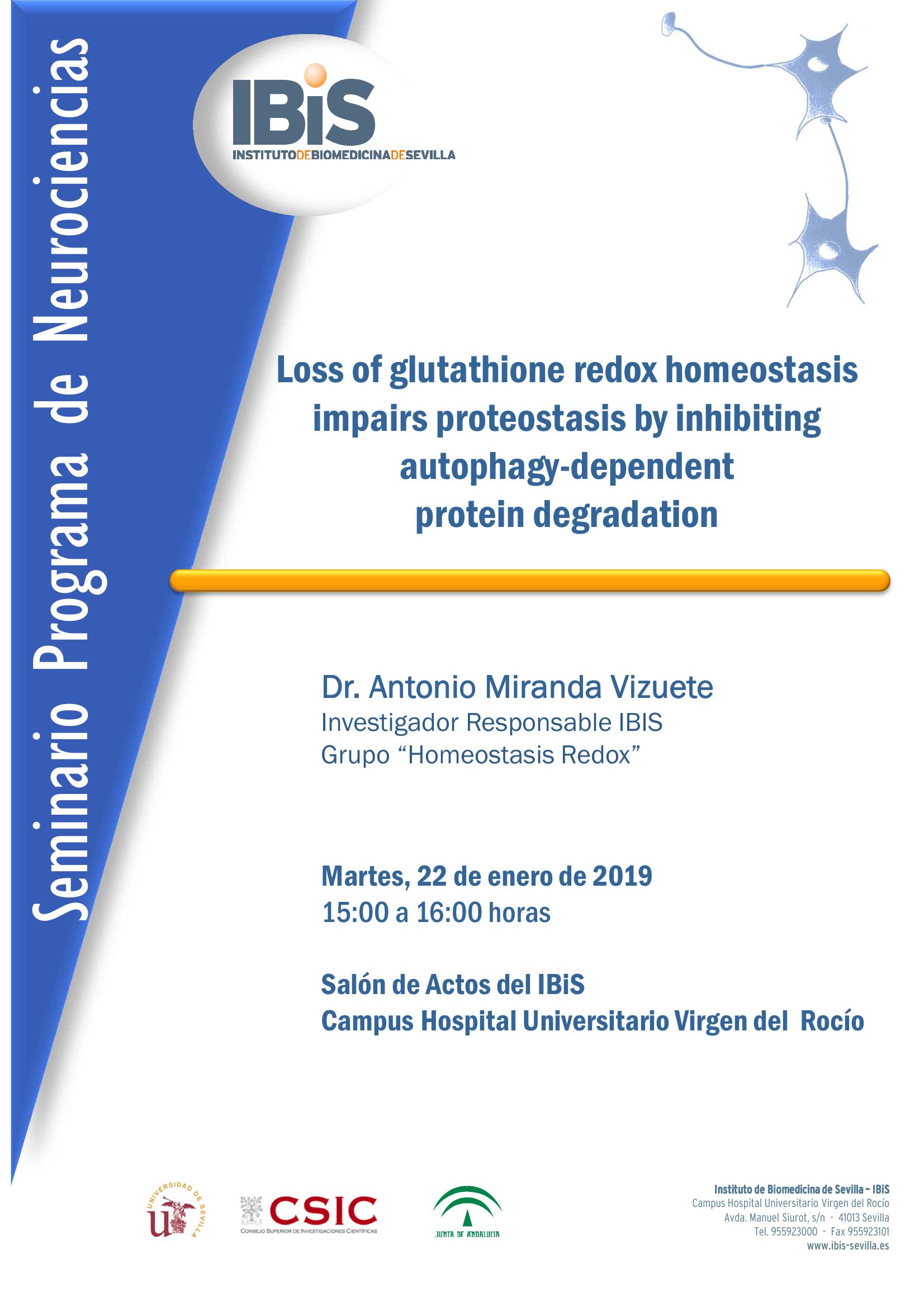 Poster: Loss of glutathione redox homeostasis impairs proteostasis by inhibiting autophagy-dependent  protein degradation