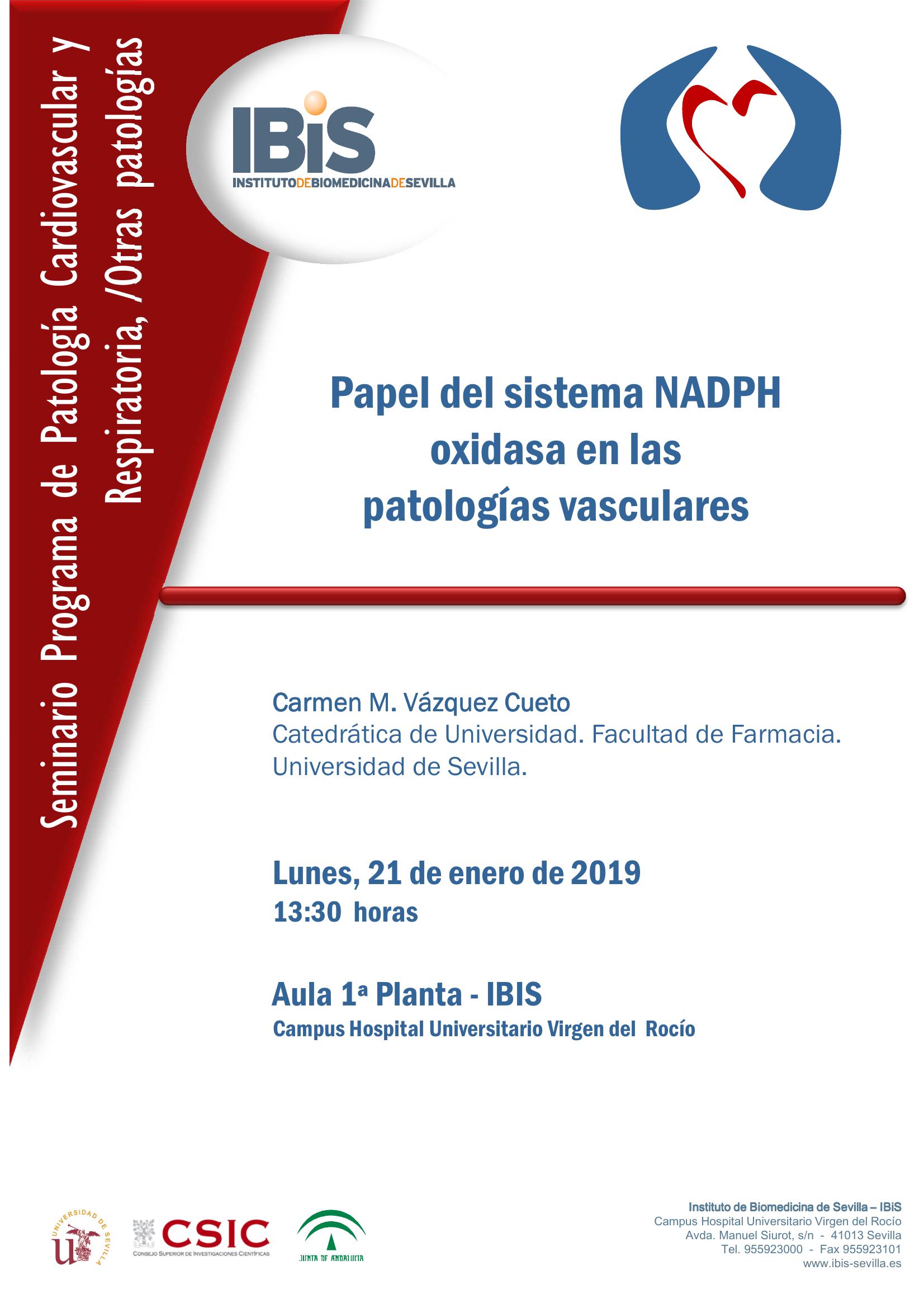 Poster: Papel del sistema NADPH oxidasa en las  patologías vasculares