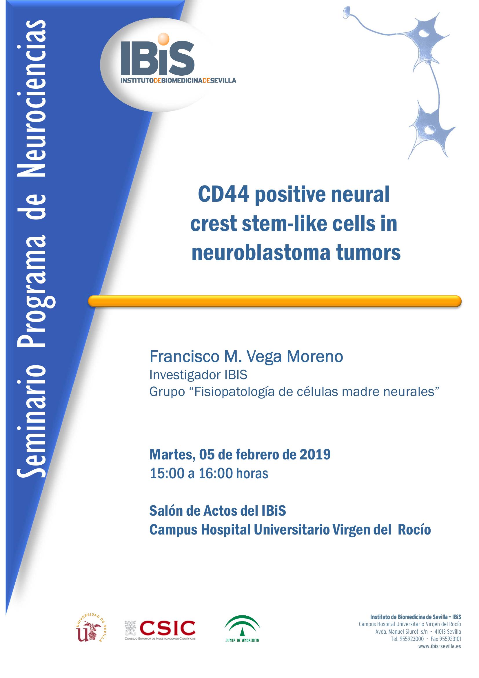 Poster: CD44 positive neural  crest stem-like cells in neuroblastoma tumors