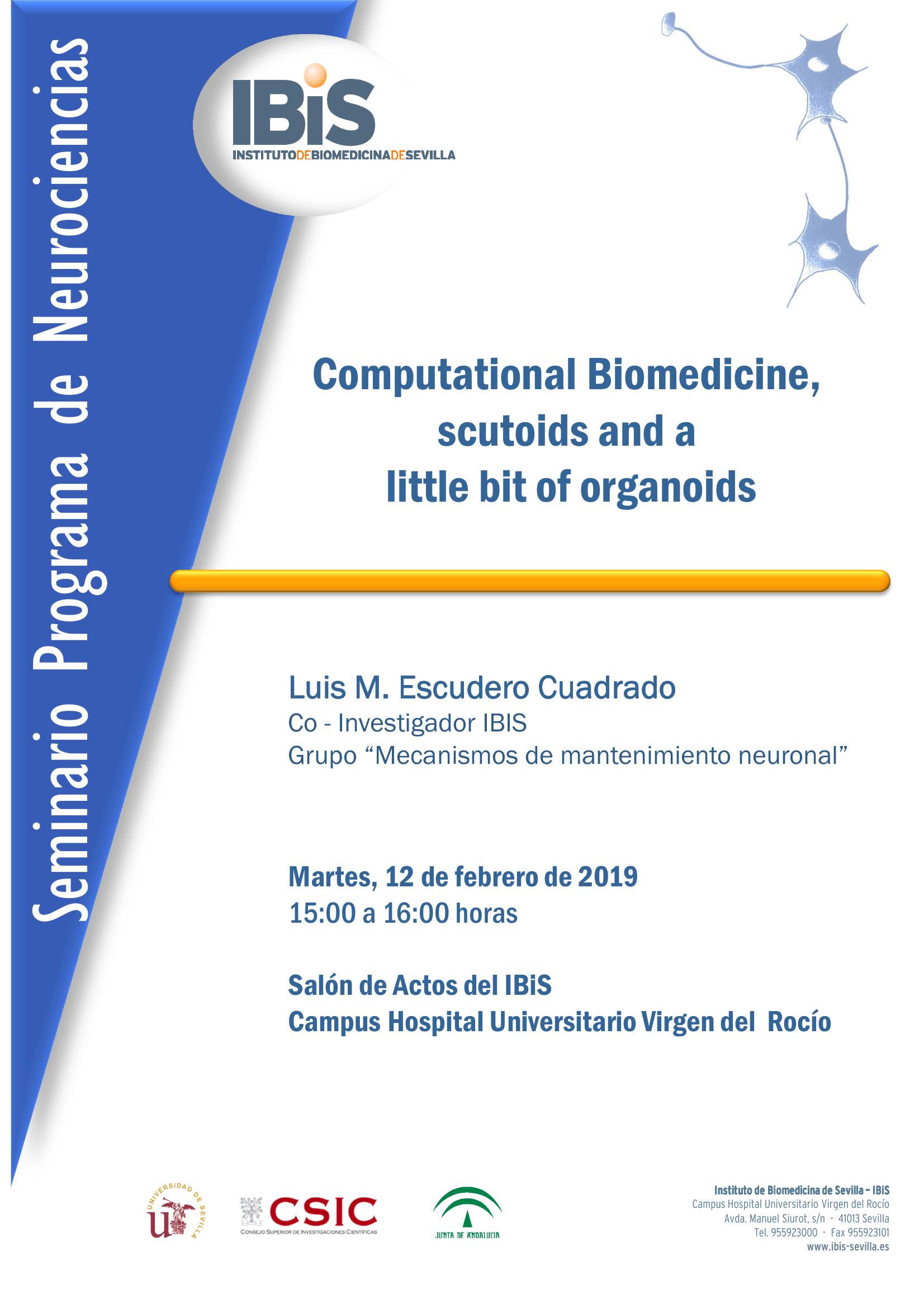 Poster: Computational Biomedicine, scutoids and a  little bit of organoids