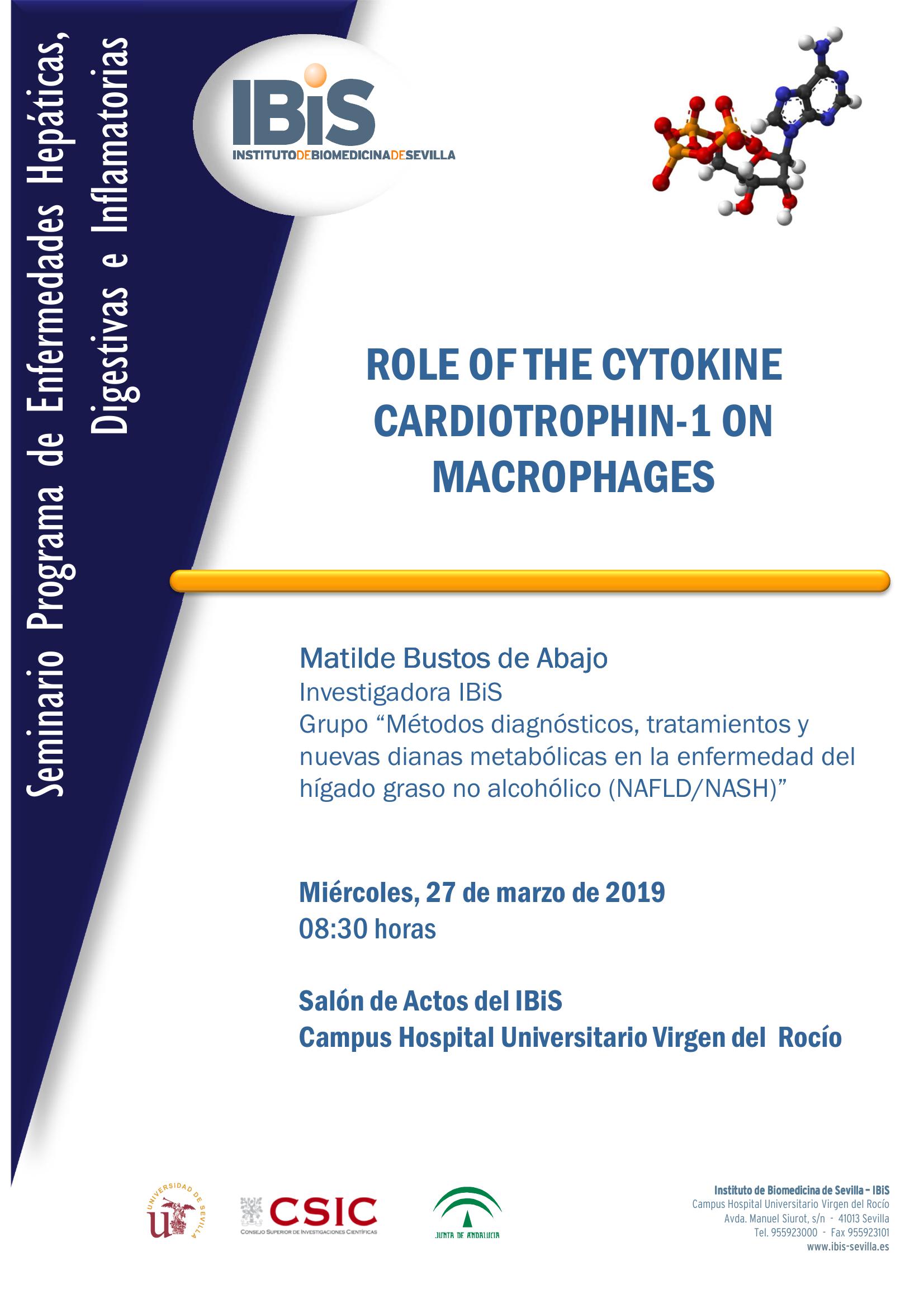 Poster: ROLE OF THE CYTOKINE CARDIOTROPHIN-1 ON MACROPHAGES