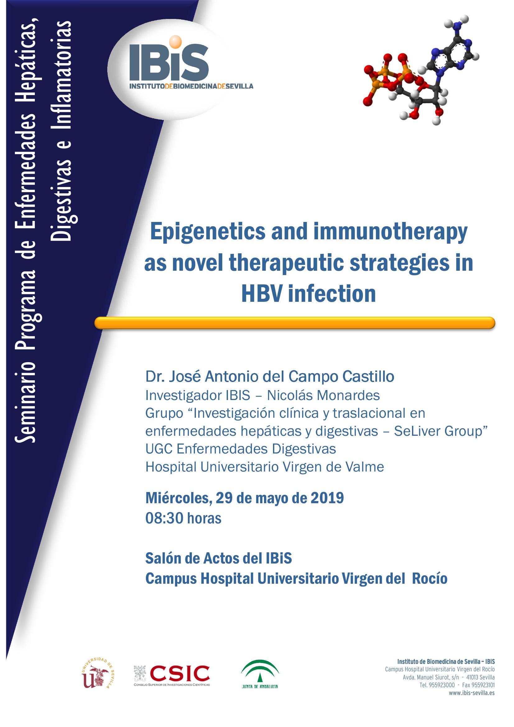 Poster: Epigenetics and immunotherapy as novel therapeutic strategies in HBV infection