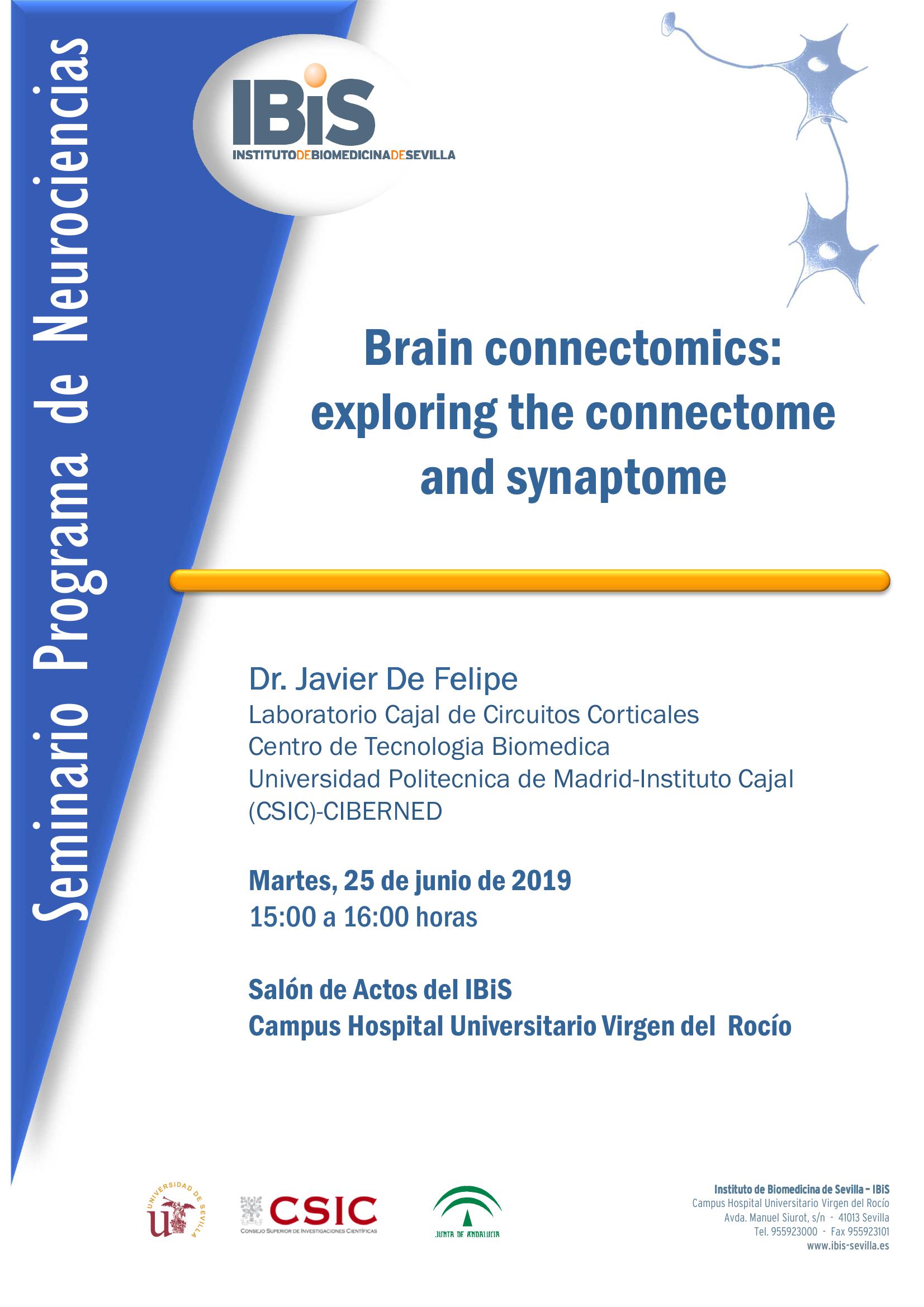 Poster: Brain connectomics:  exploring the connectome  and synaptome