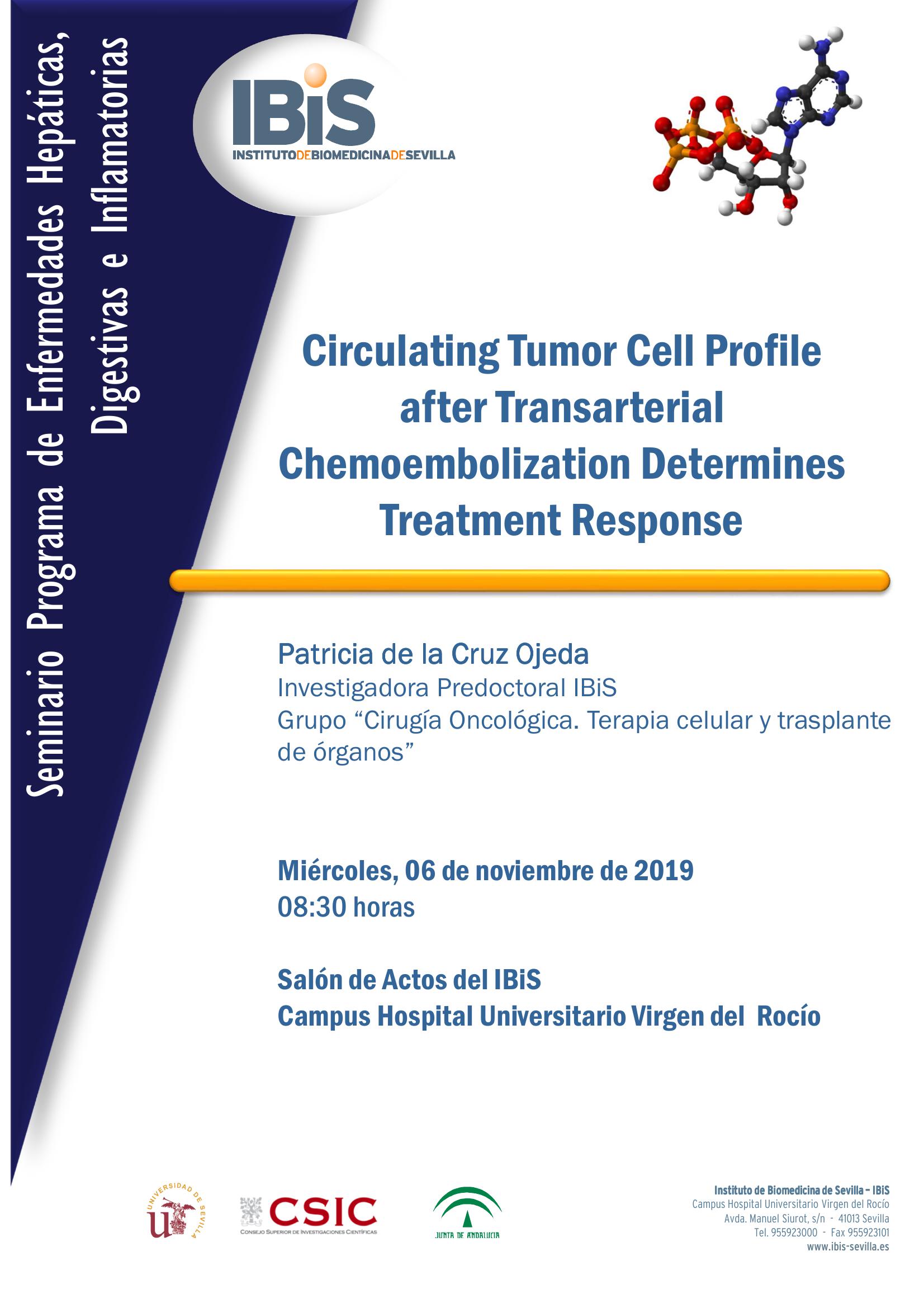 Poster: Circulating Tumor Cell Profile after Transarterial Chemoembolization Determines Treatment Response