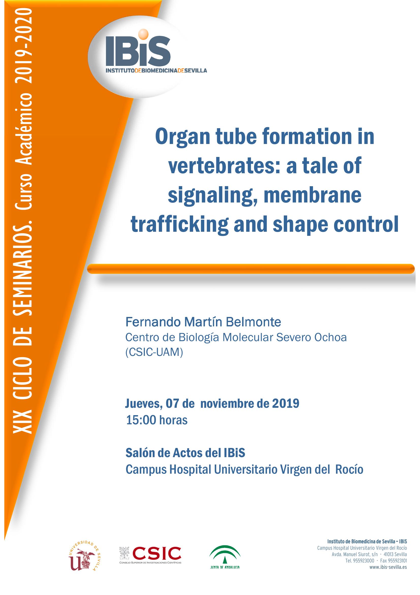 Poster: Organ tube formation in vertebrates: a tale of signaling, membrane trafficking and shape control