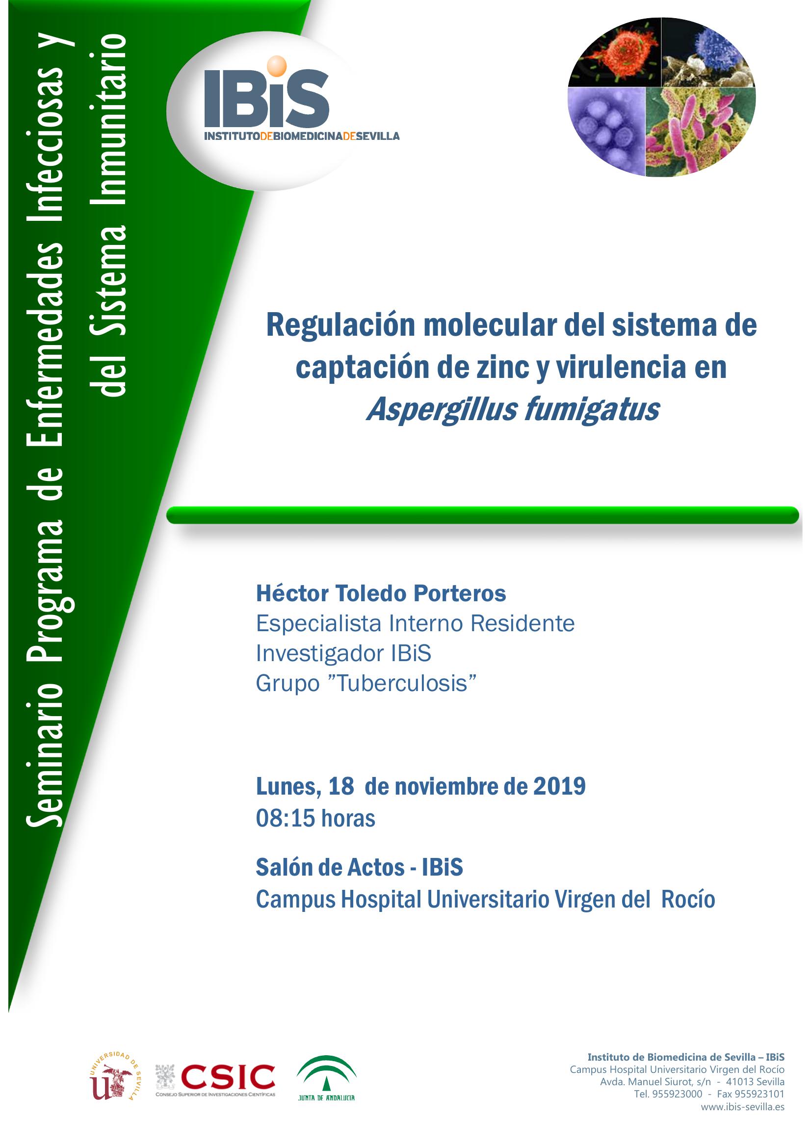 Poster: Regulación molecular del sistema de captación de zinc y virulencia en Aspergillus fumigatus