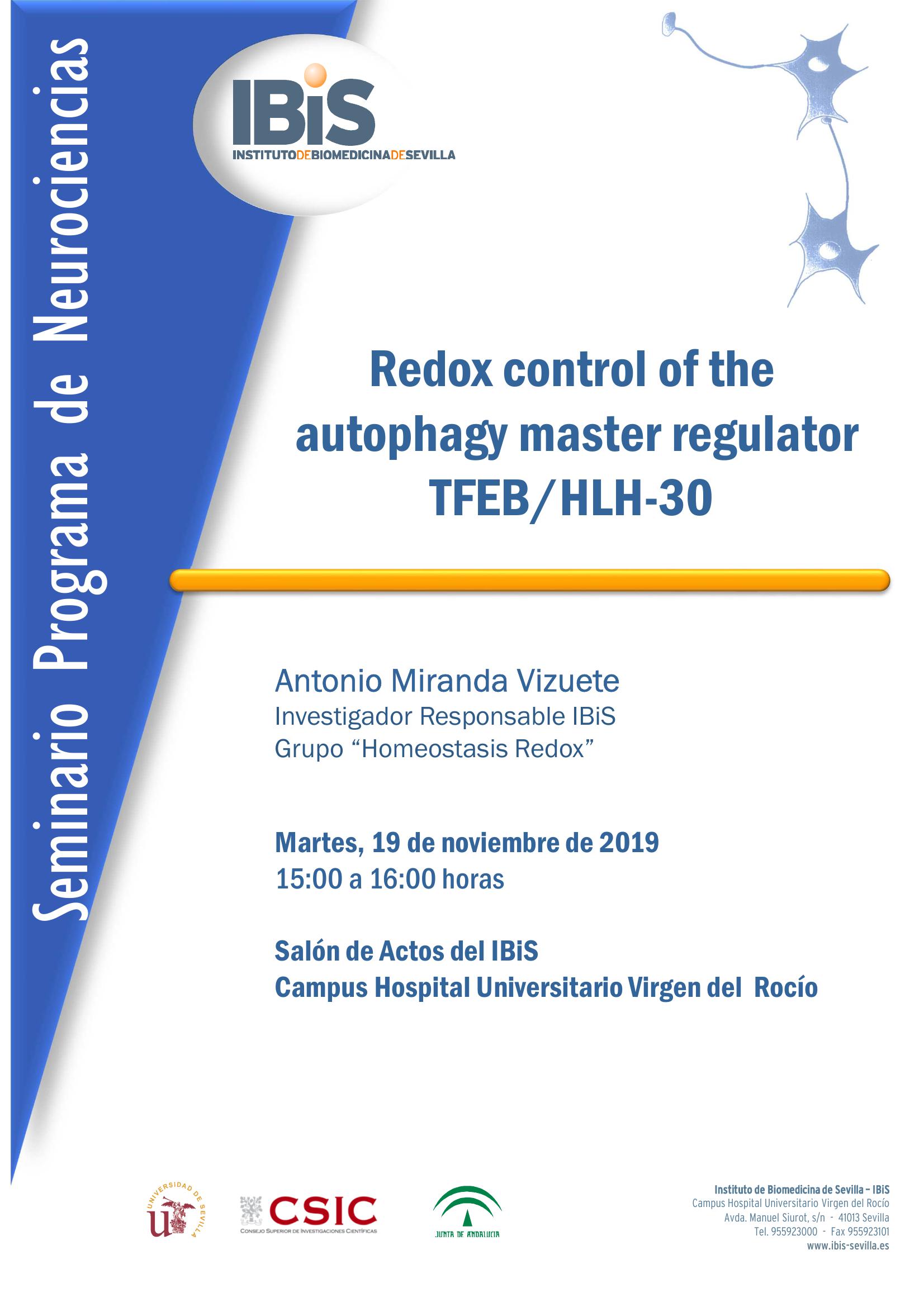 Poster: Redox control of the  autophagy master regulator TFEB/HLH-30