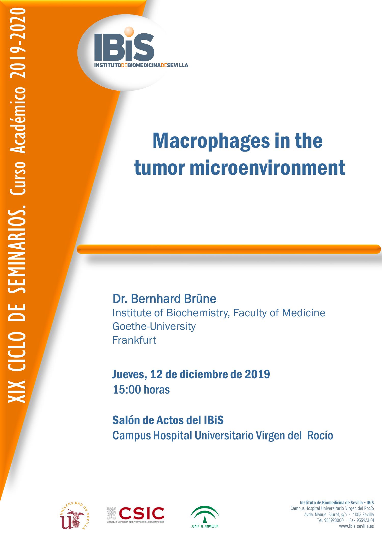 Poster: Macrophages in the  tumor microenvironment