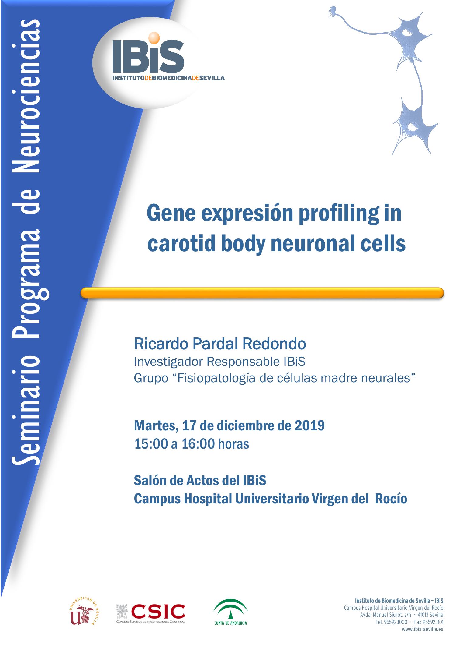 Poster: Gene expresión profiling in  carotid body neuronal cells