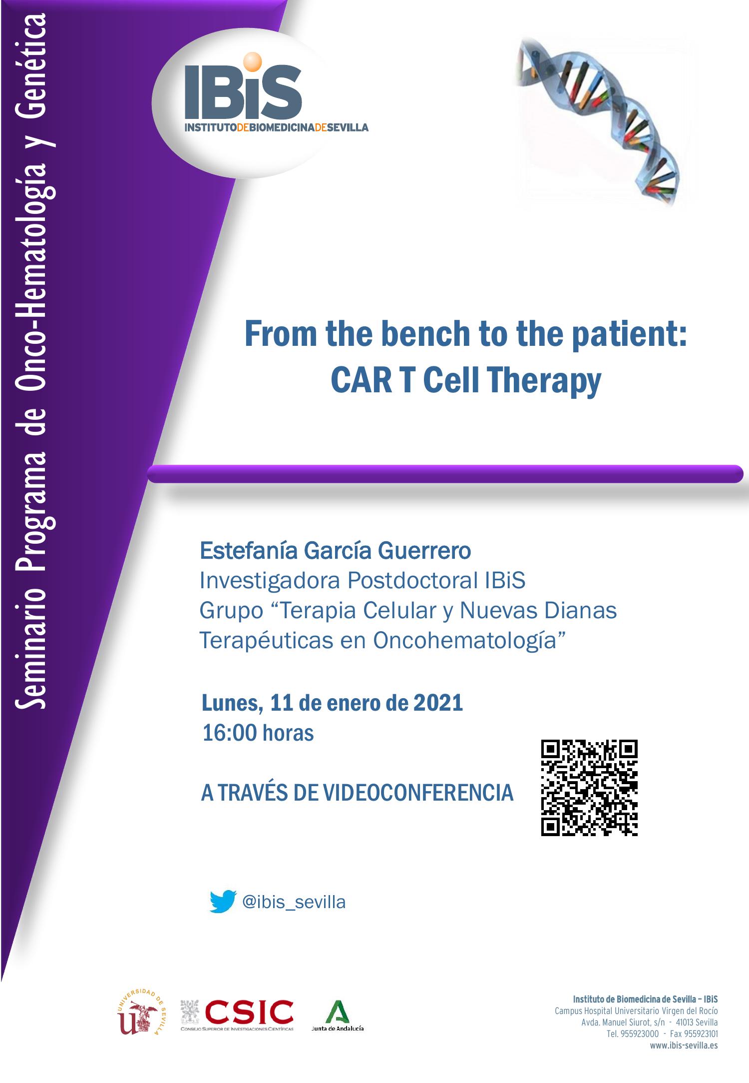 Poster: From the bench to the patient:  CAR T Cell Therapy