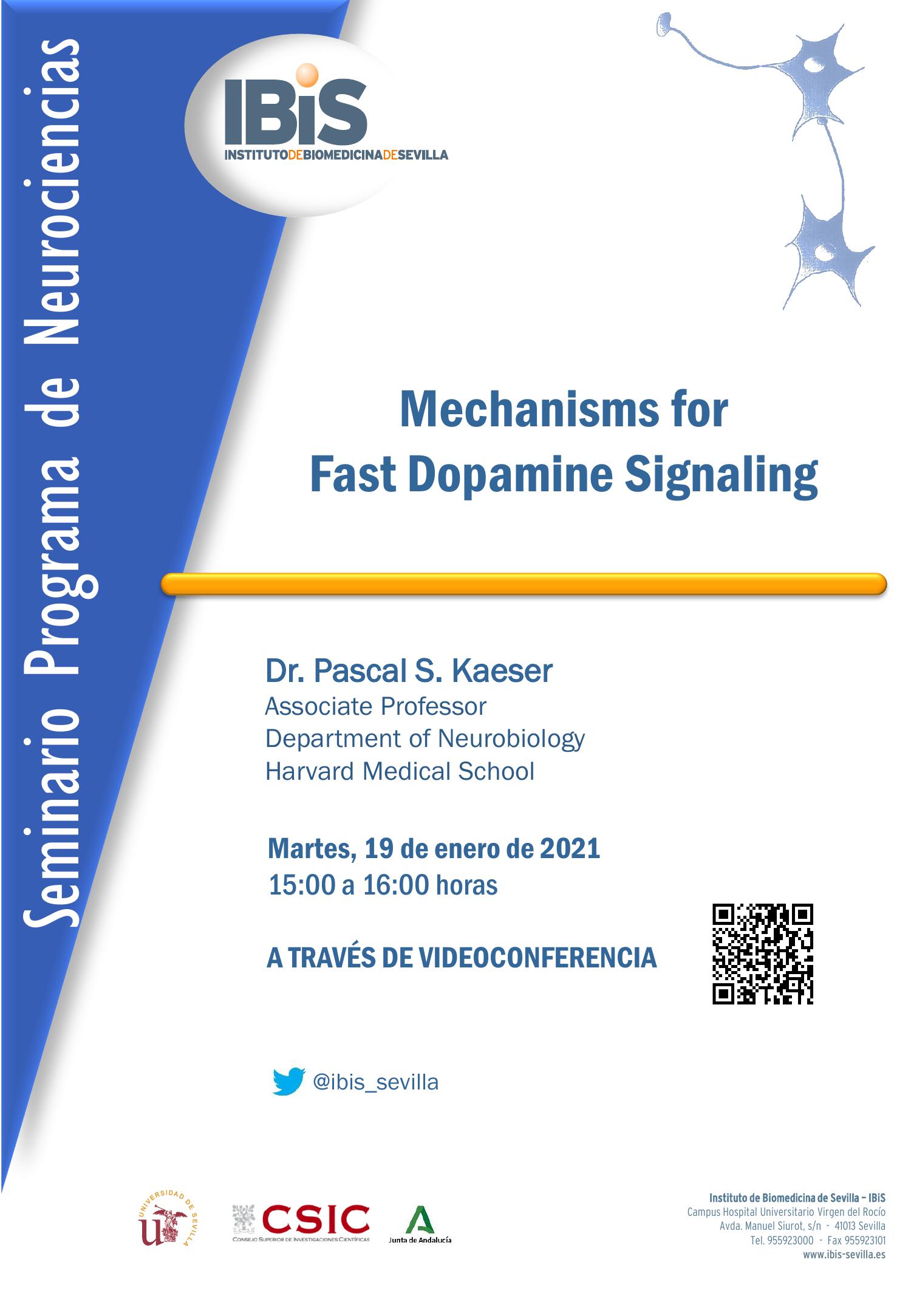 Poster: Mechanisms for  Fast Dopamine Signaling