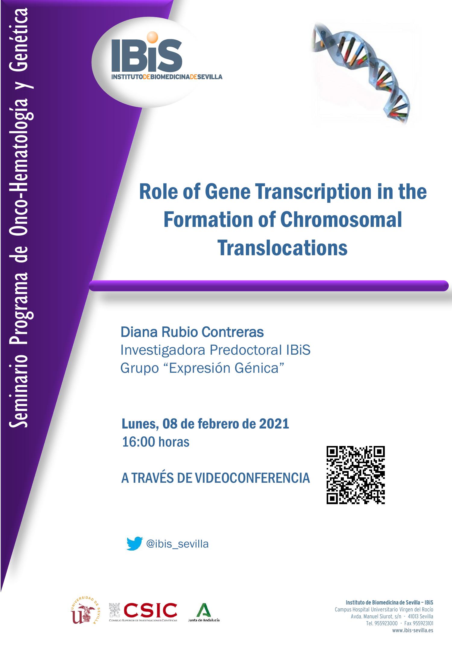 Poster: Role of Gene Transcription in the Formation of Chromosomal Translocations