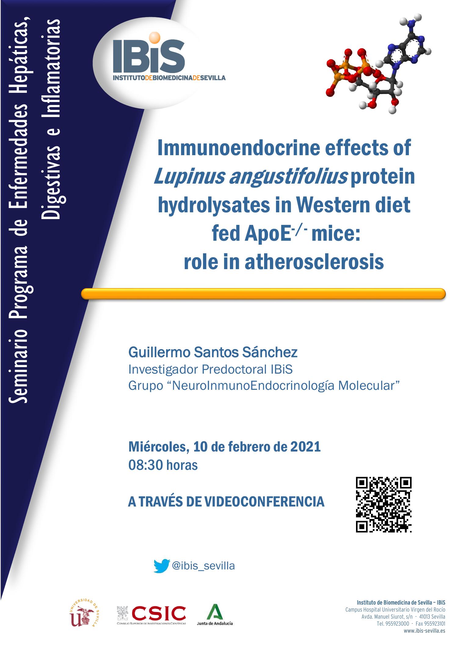 Poster: Immunoendocrine effects of Lupinus angustifolius protein hydrolysates in Western diet  fed ApoE-/- mice:  role in atherosclerosis