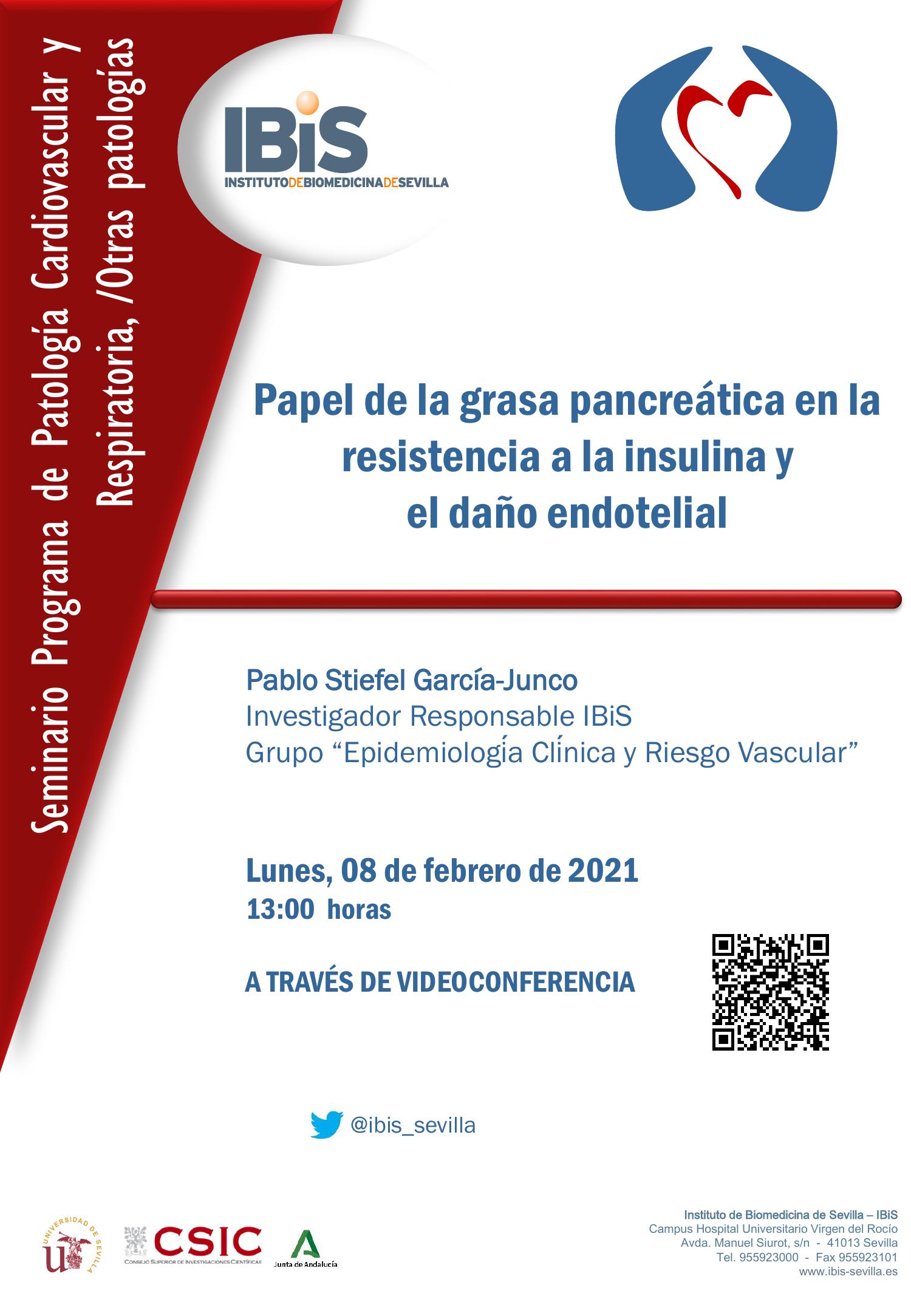 Poster: Papel de la grasa pancreática en la resistencia a la insulina y  el daño endotelial