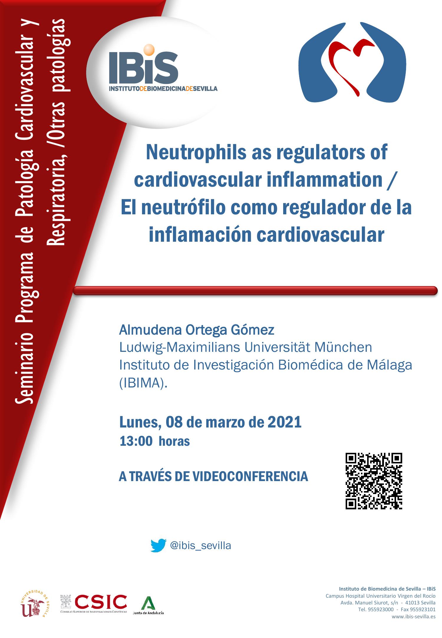 Poster: Neutrophils as regulators of cardiovascular inflammation /  El neutrófilo como regulador de la inflamación cardiovascular