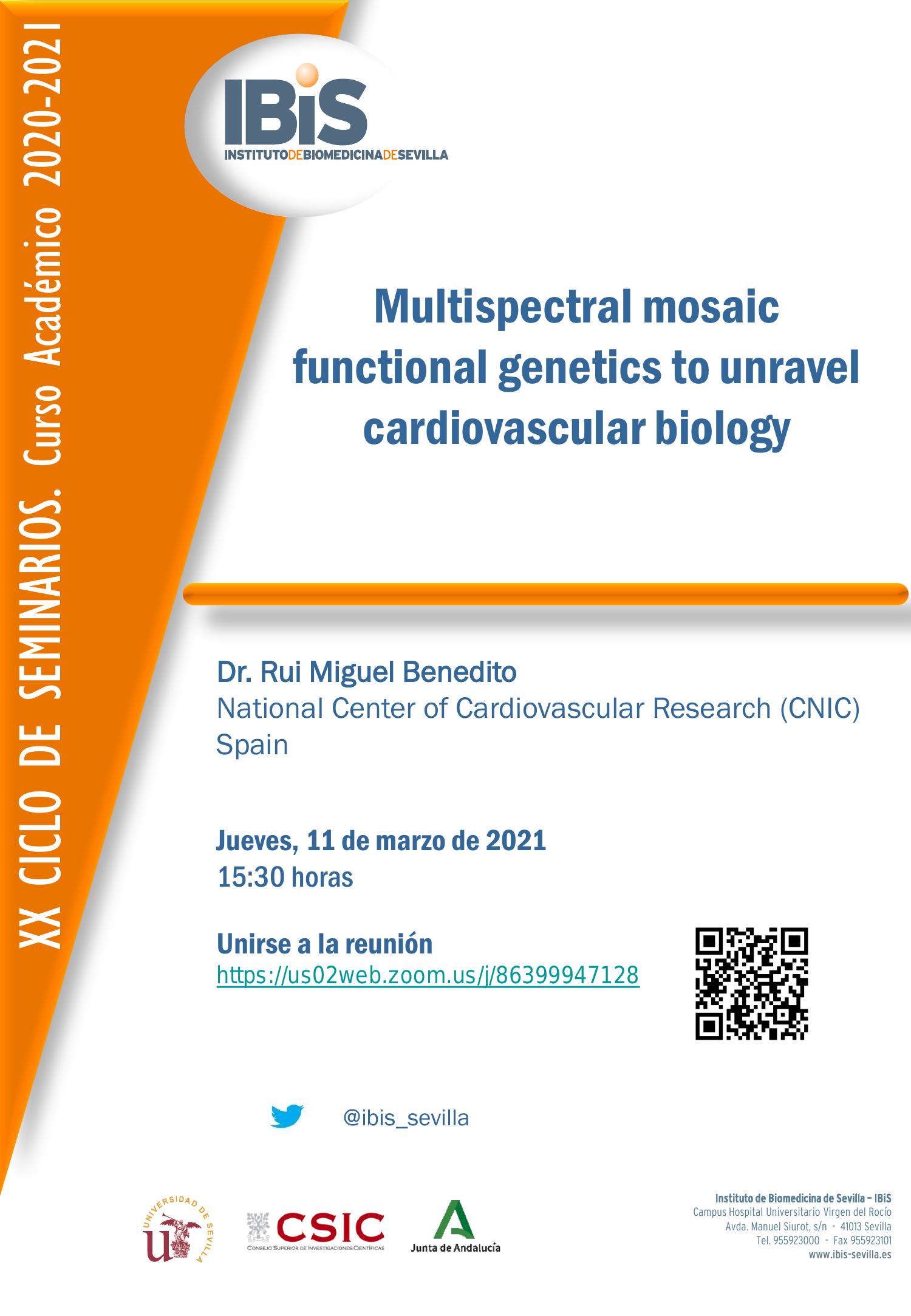 Poster: Multispectral mosaic functional genetics to unravel cardiovascular biology
