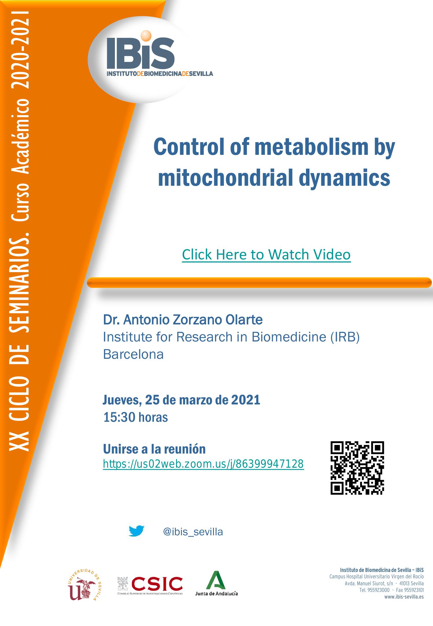 Poster: Control of metabolism by mitochondrial dynamics