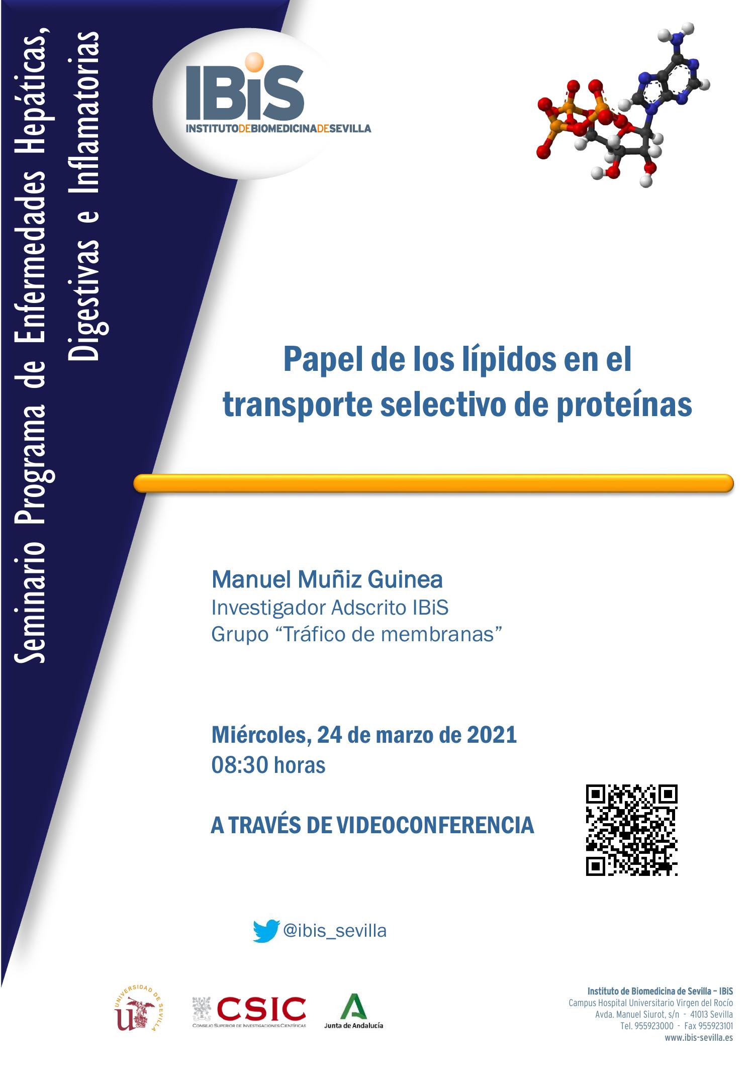 Poster: Papel de los lípidos en el  transporte selectivo de proteínas