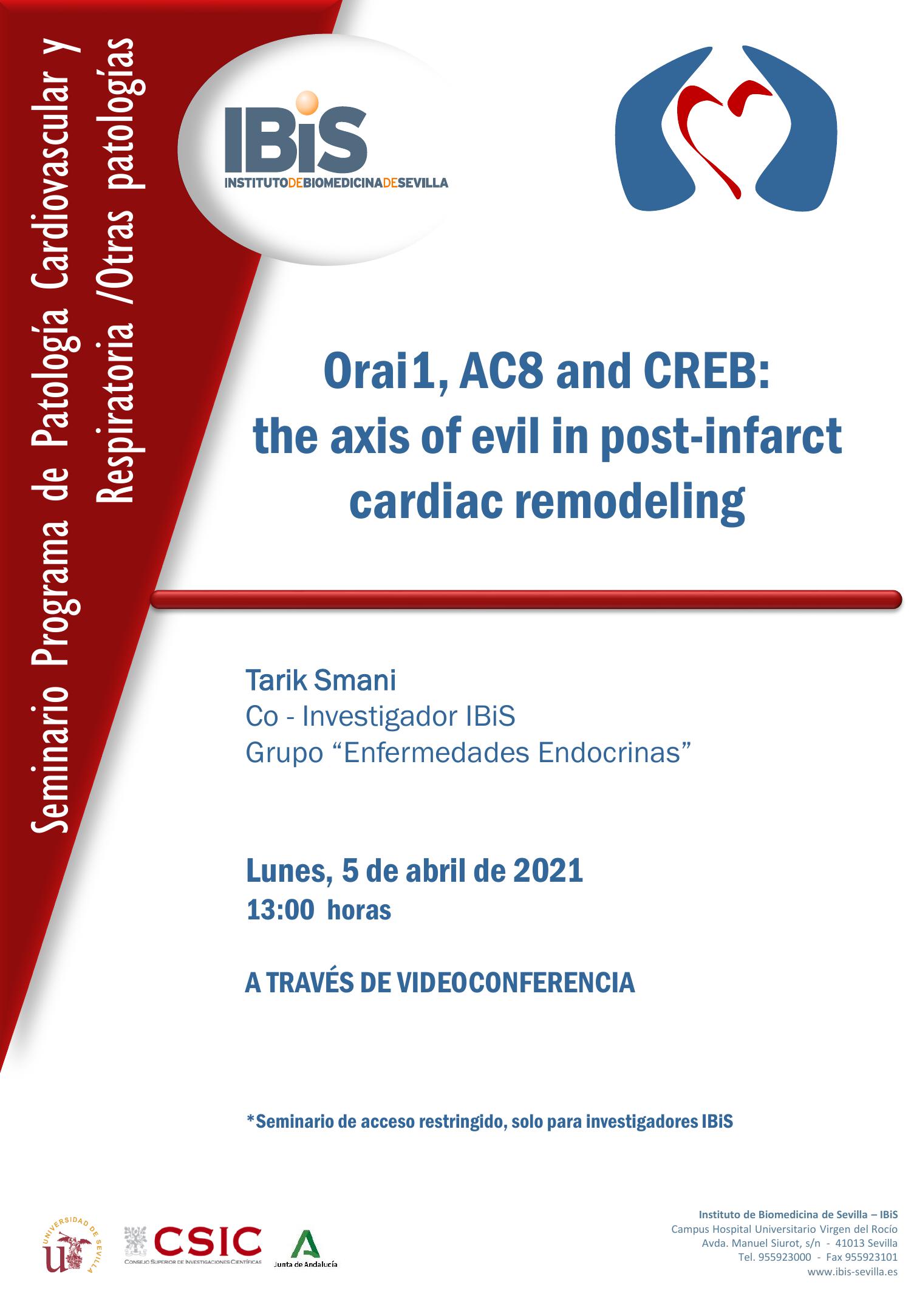 Poster: Orai1, AC8 and CREB:  the axis of evil in post-infarct cardiac remodeling
