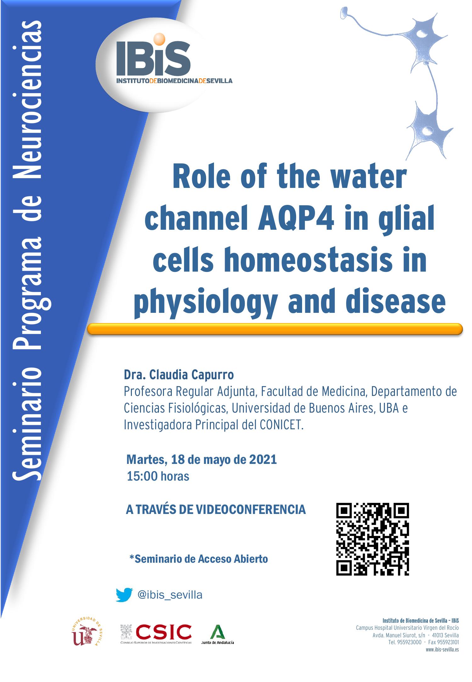 Poster: Role of the water channel AQP4 in glial cells homeostasis in physiology and disease