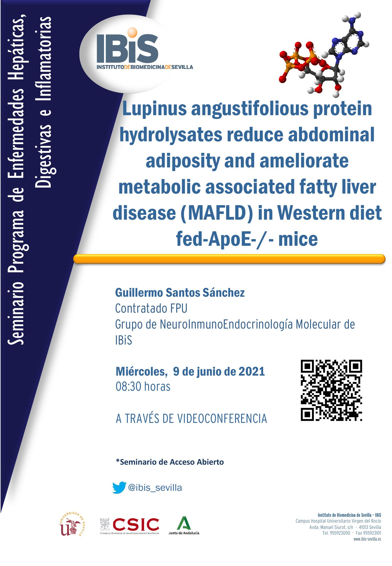 Poster: Lupinus angustifolious protein hydrolysates reduce abdominal adiposity and ameliorate metabolic associated fatty liver disease (MAFLD) in Western diet fed-ApoE-/- mice