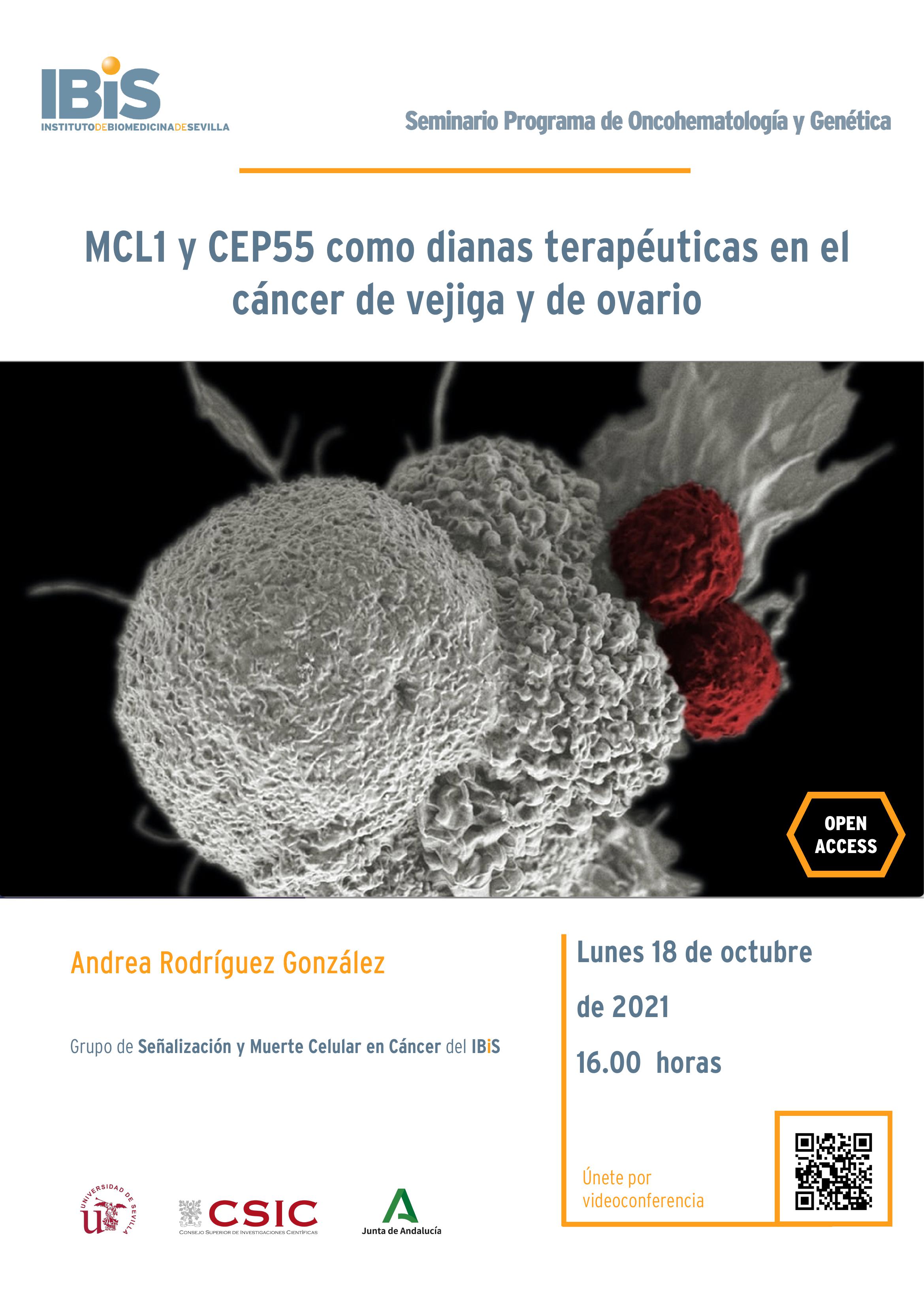 Poster: MCL1 y CEP55 como dianas terapéuticas en el cáncer de vejiga y de ovario
