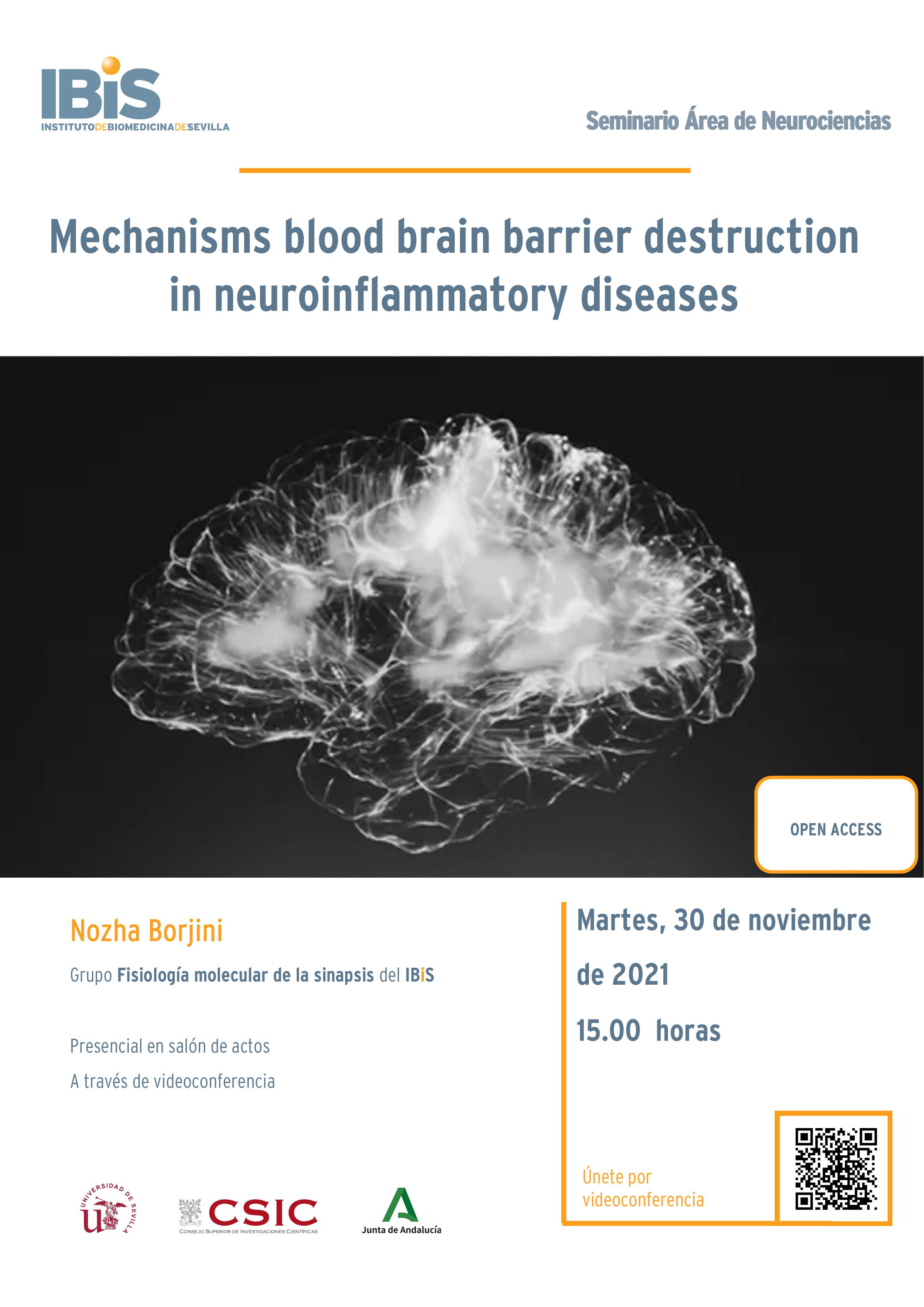Poster: Mechanisms blood brain barrier destruction in neuroinflammatory diseases