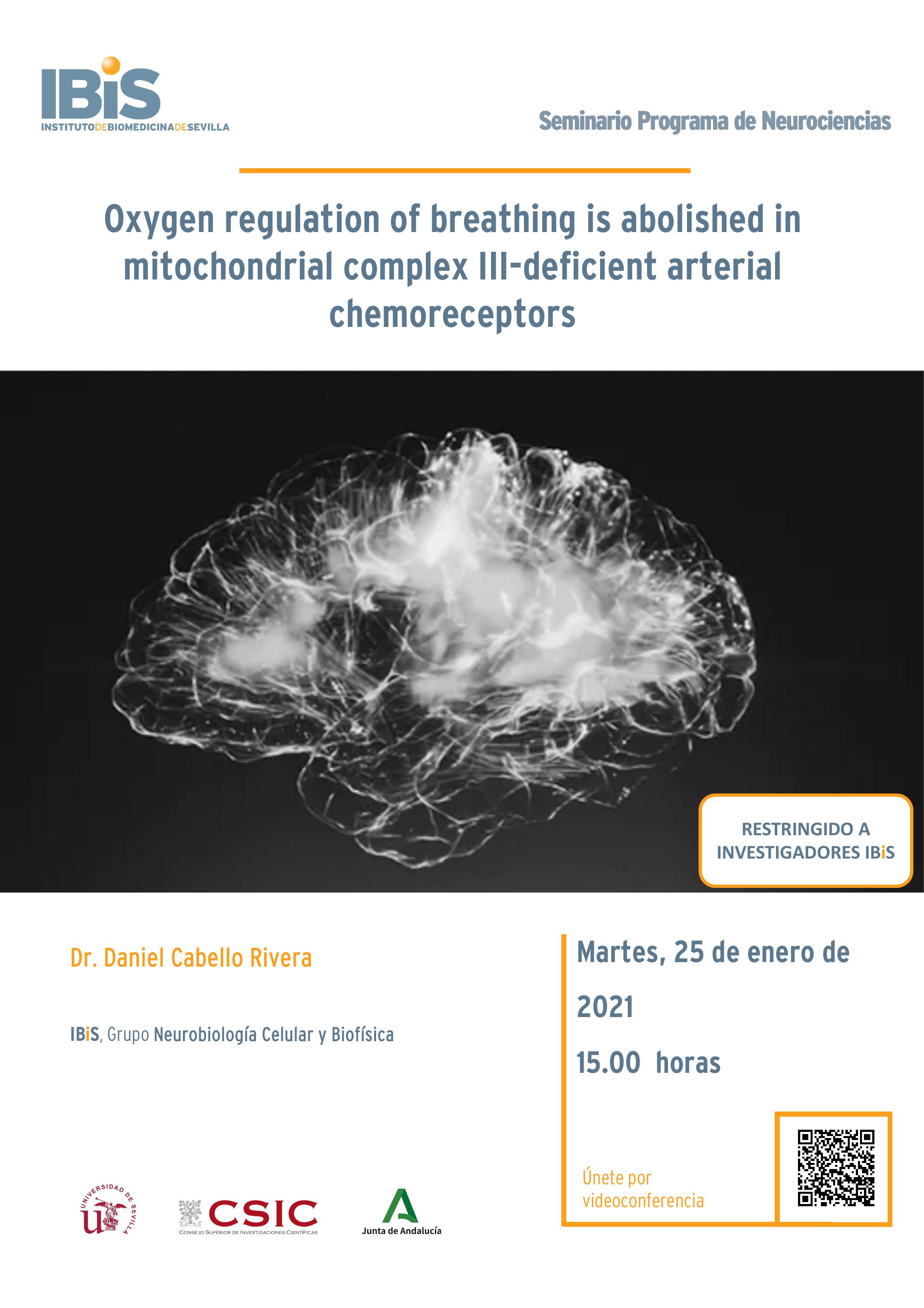 Poster: Oxygen regulation of breathing is abolished in mitochondrial complex III-deficient arterial chemoreceptors