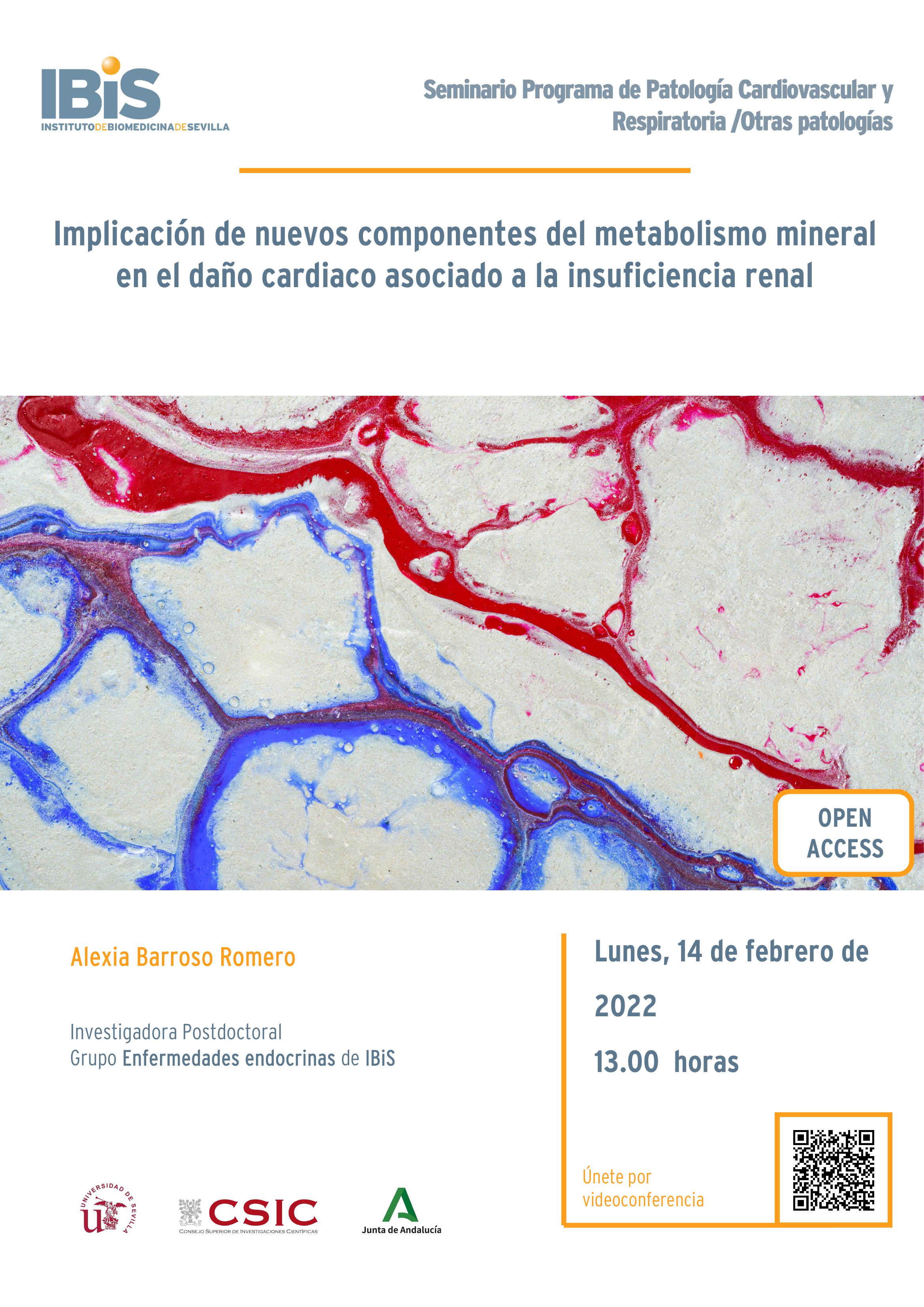 Poster: Implicación de nuevos componentes del metabolismo mineral en el daño cardiaco asociado a la insuficiencia renal