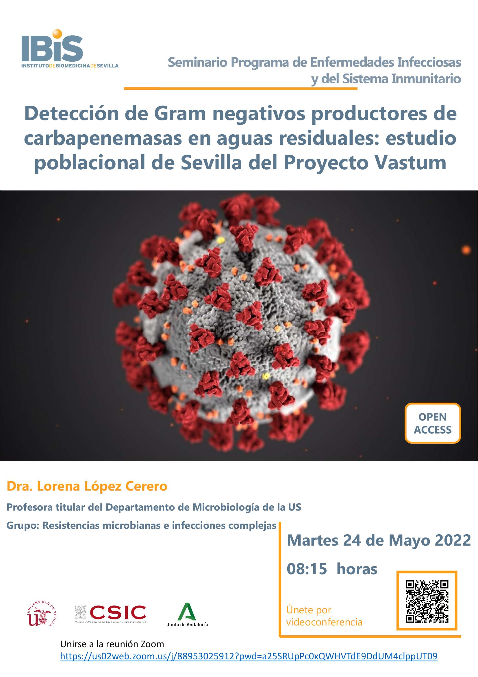 Poster: Detección de Gram negativos productores de carbapenemasas en aguas residuales: estudio poblacional de Sevilla del Proyecto Vastum