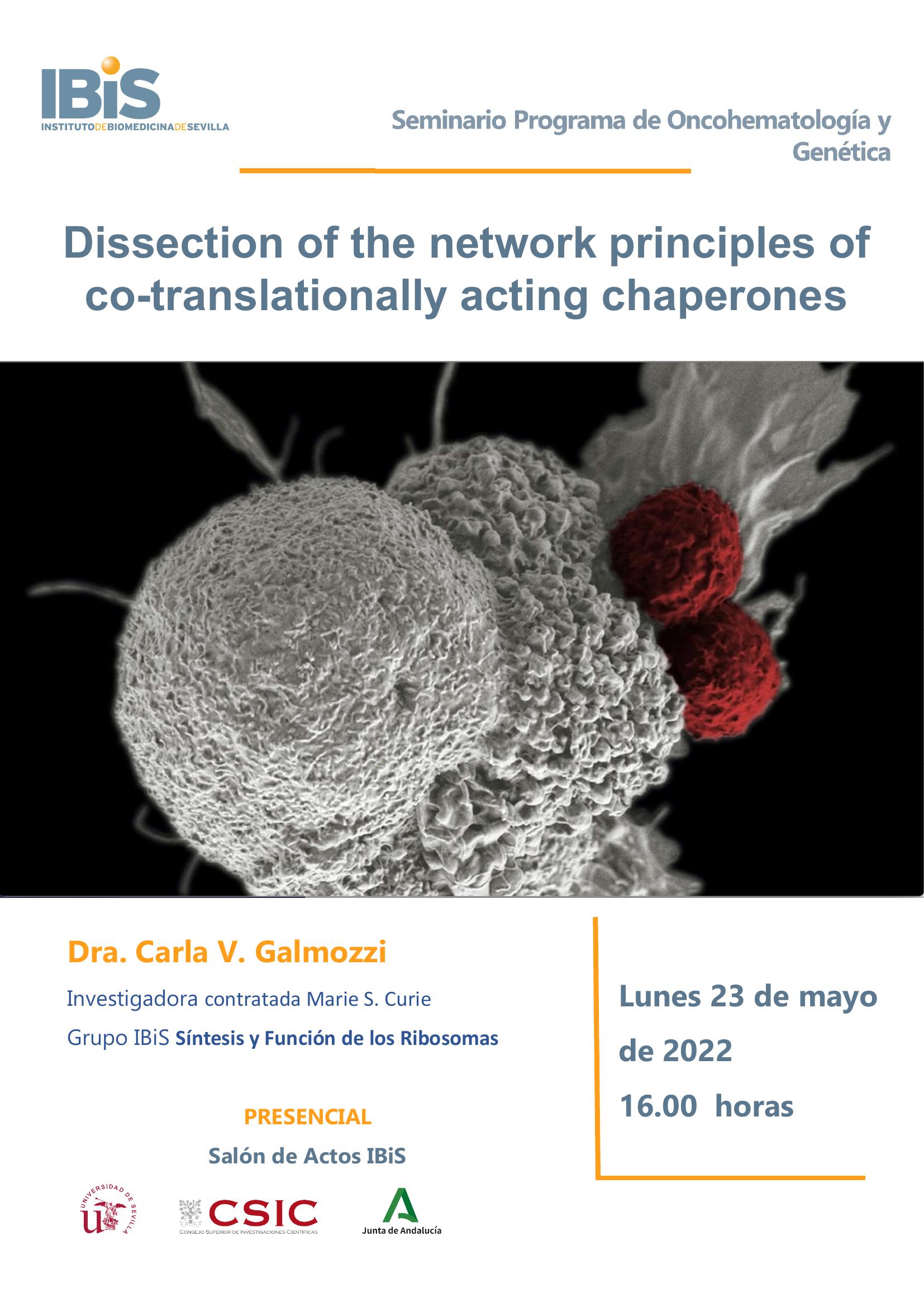 Poster: Dissection of the network principles of co-translationally acting chaperones