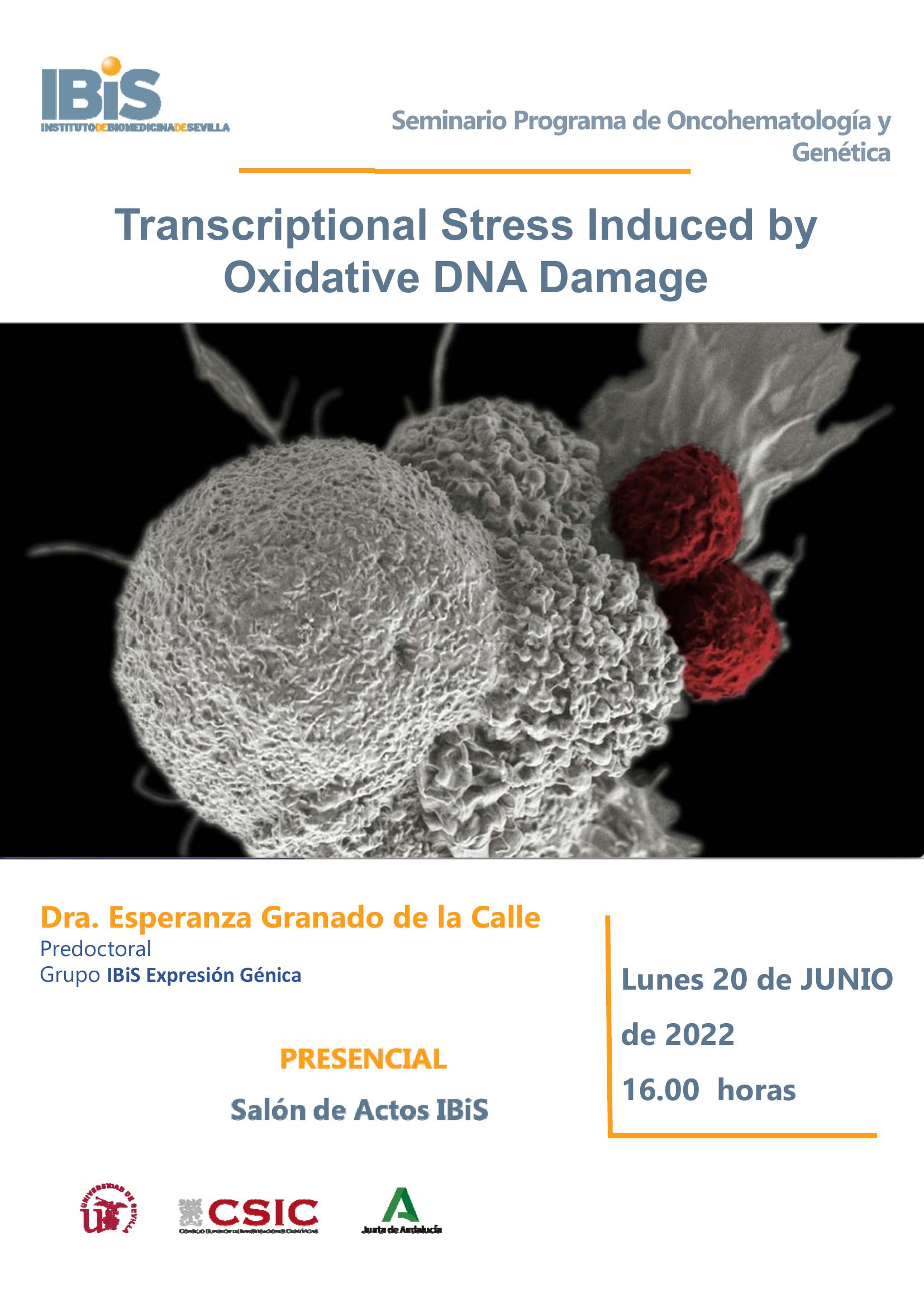 Poster: Transcriptional Stress Induced by Oxidative DNA Damage