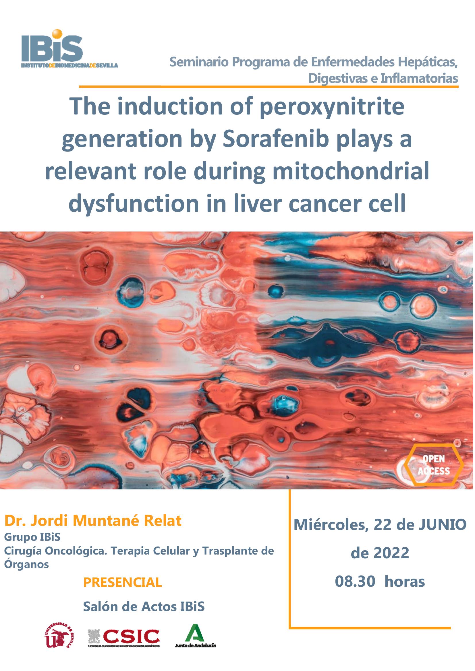 Poster: The induction of peroxynitrite generation by Sorafenib plays a relevant role during mitochondrial dysfunction in liver cancer cell