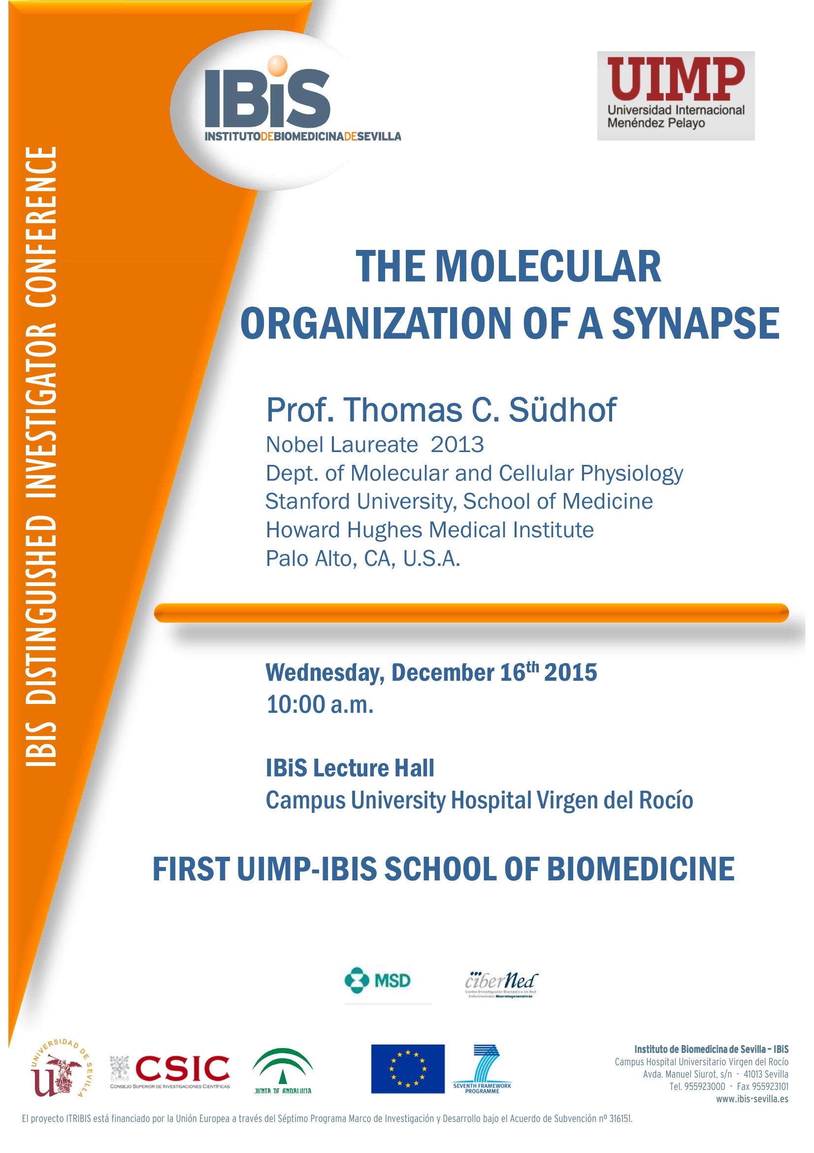 Poster: First UIMP-IBiS School of Biomedicine